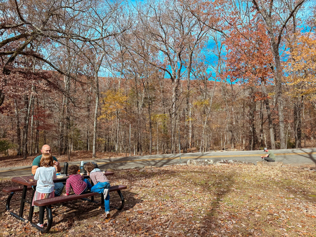 Devil's Den state park