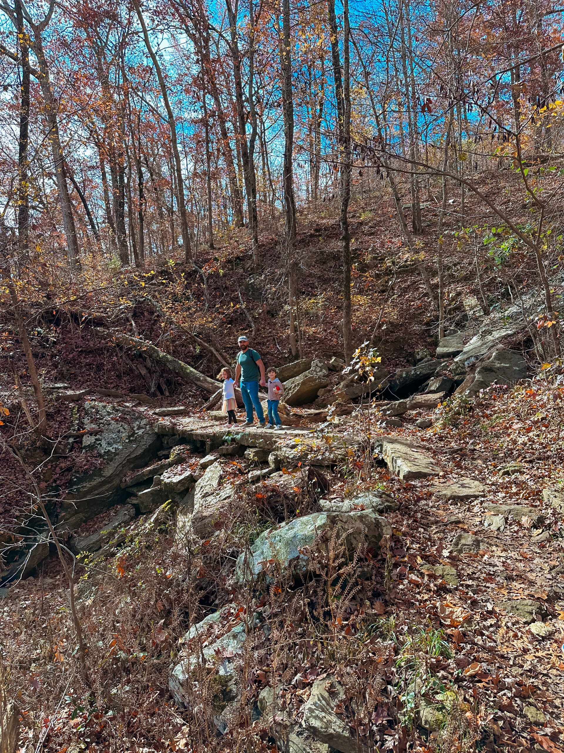 Devil's den state park