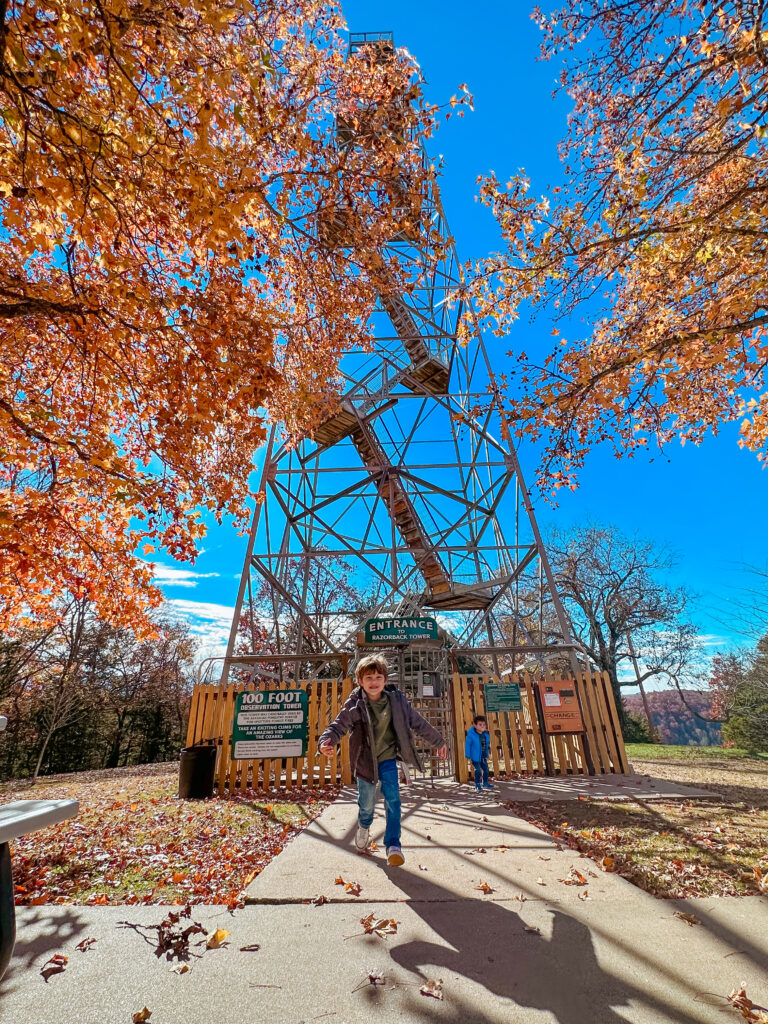 Razorback tower, eureka springs