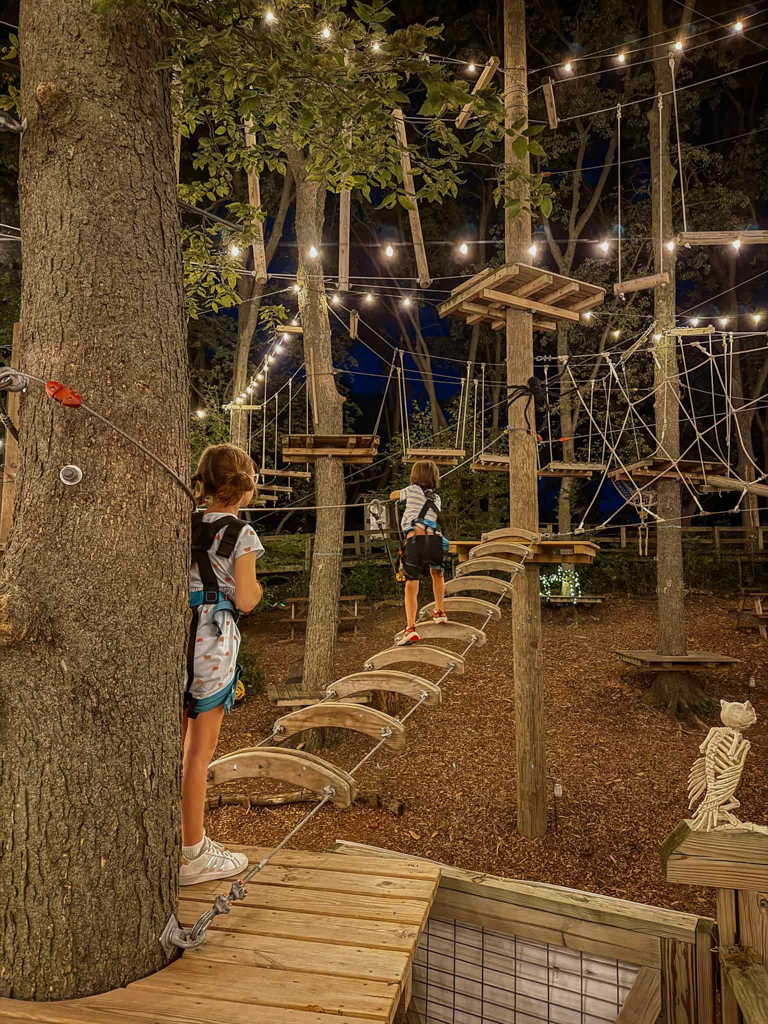 tree rush adventures in Omaha with kids