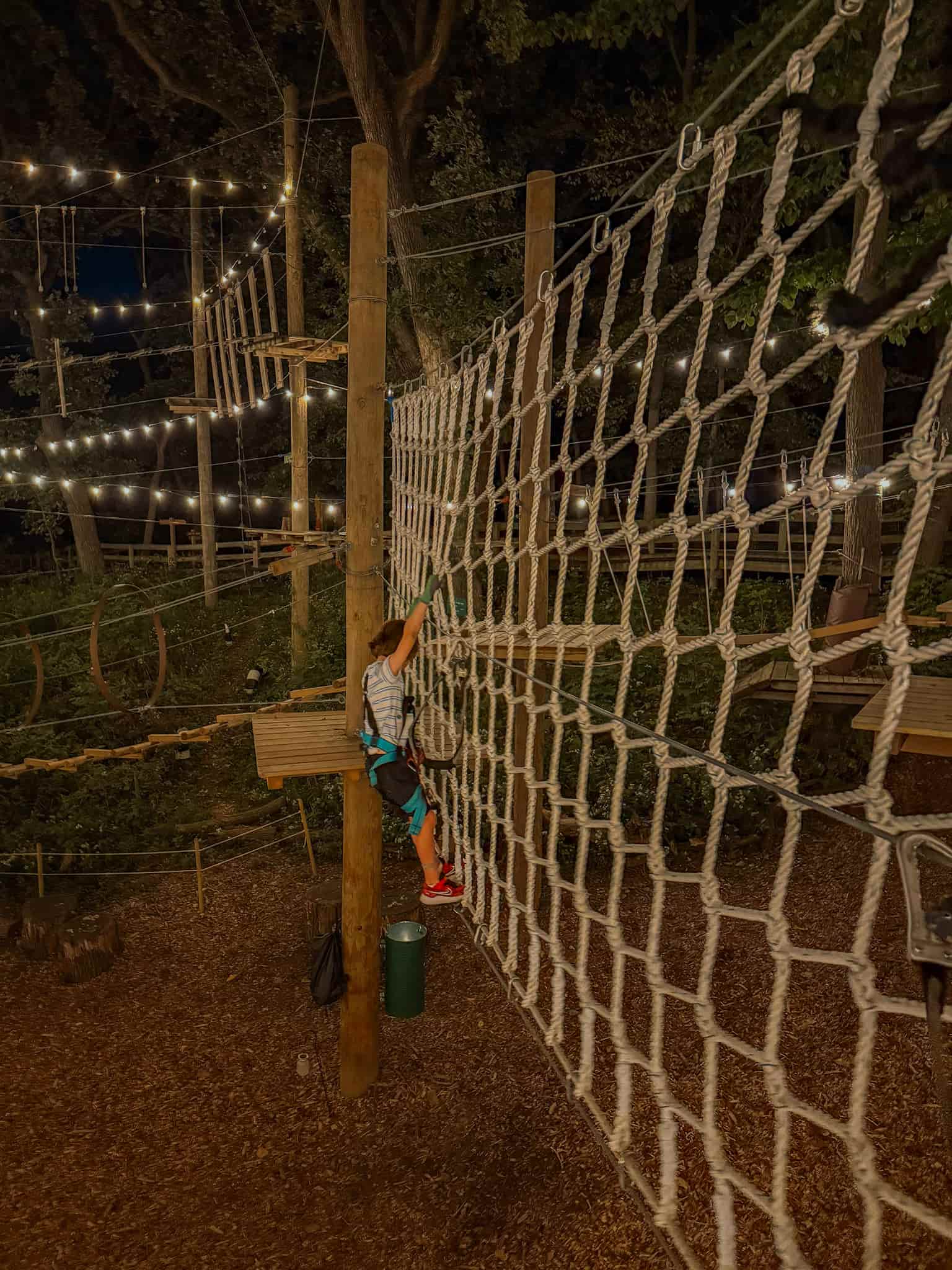 tree rush adventures in Omaha