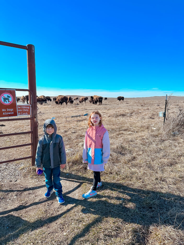 Tallgrass prairie national preserve