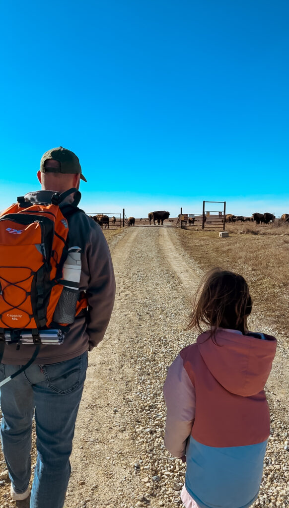 tallgrass prairie national preserve 