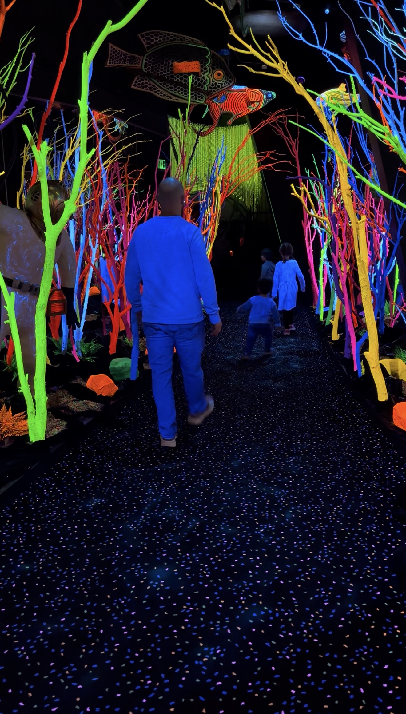 meow wolf santa fe