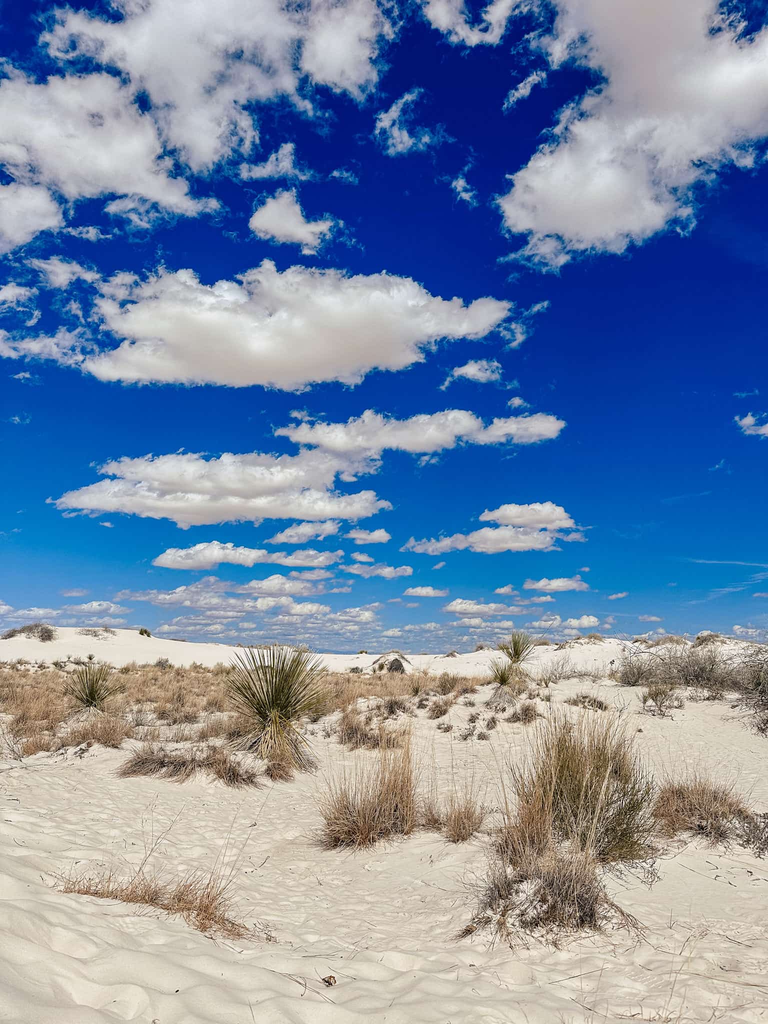 white sands national park new mexico
