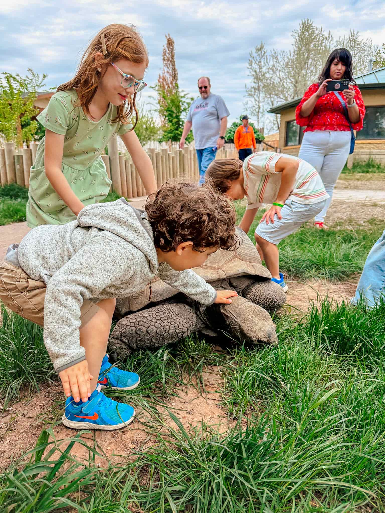 kids petting a giant tortise 