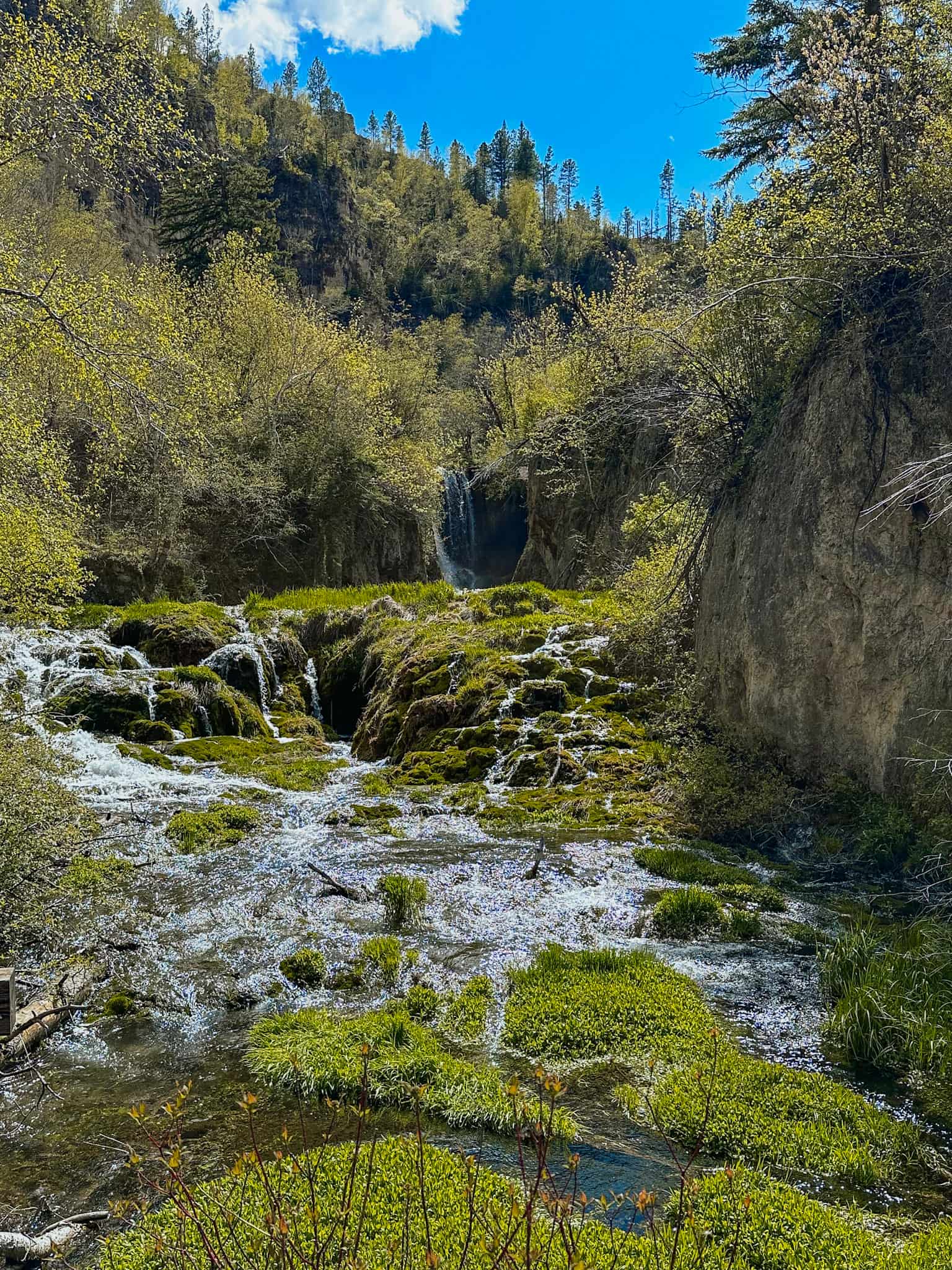roughlock falls in spearfish canyon 