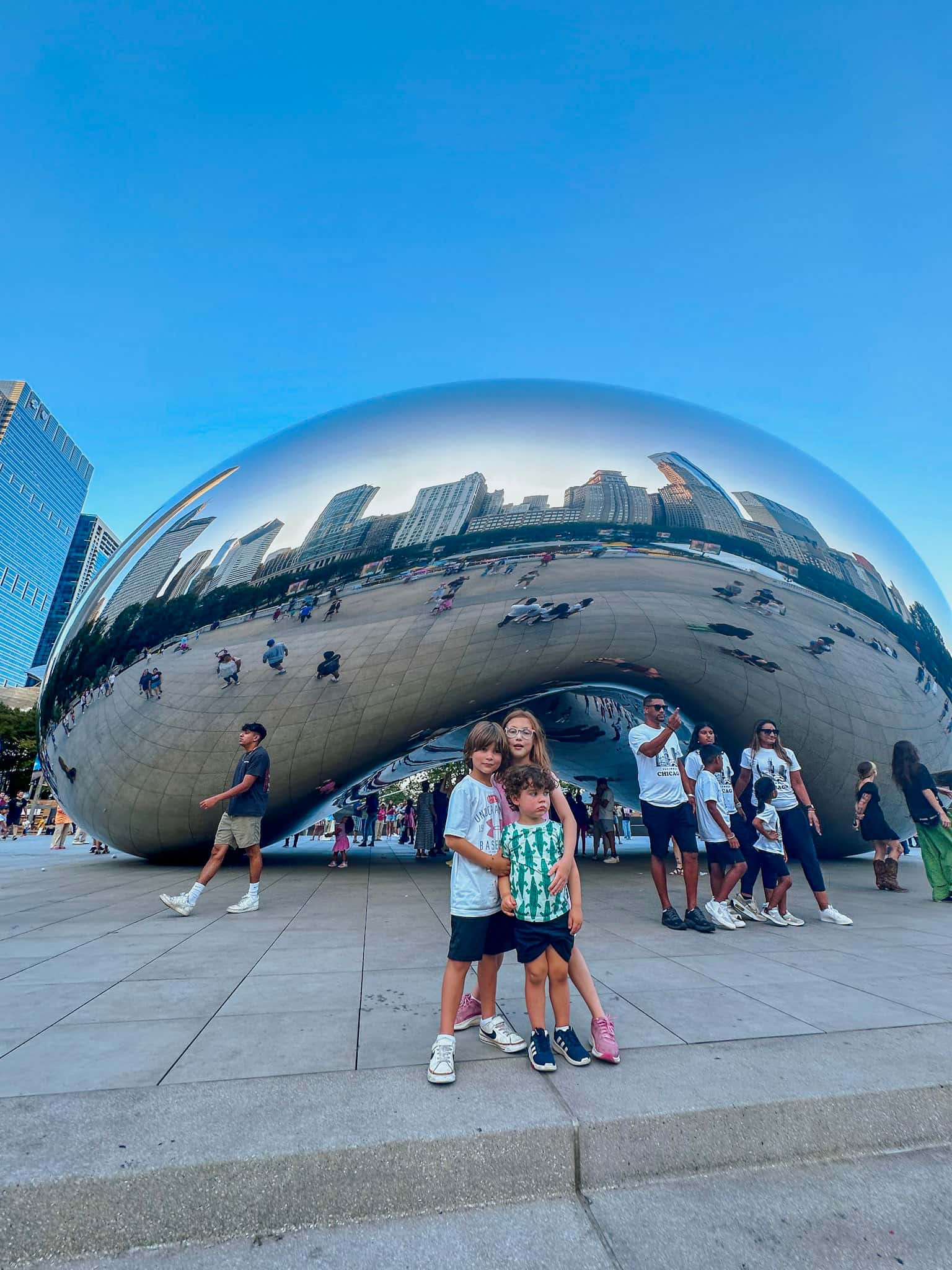 the bean in chicago