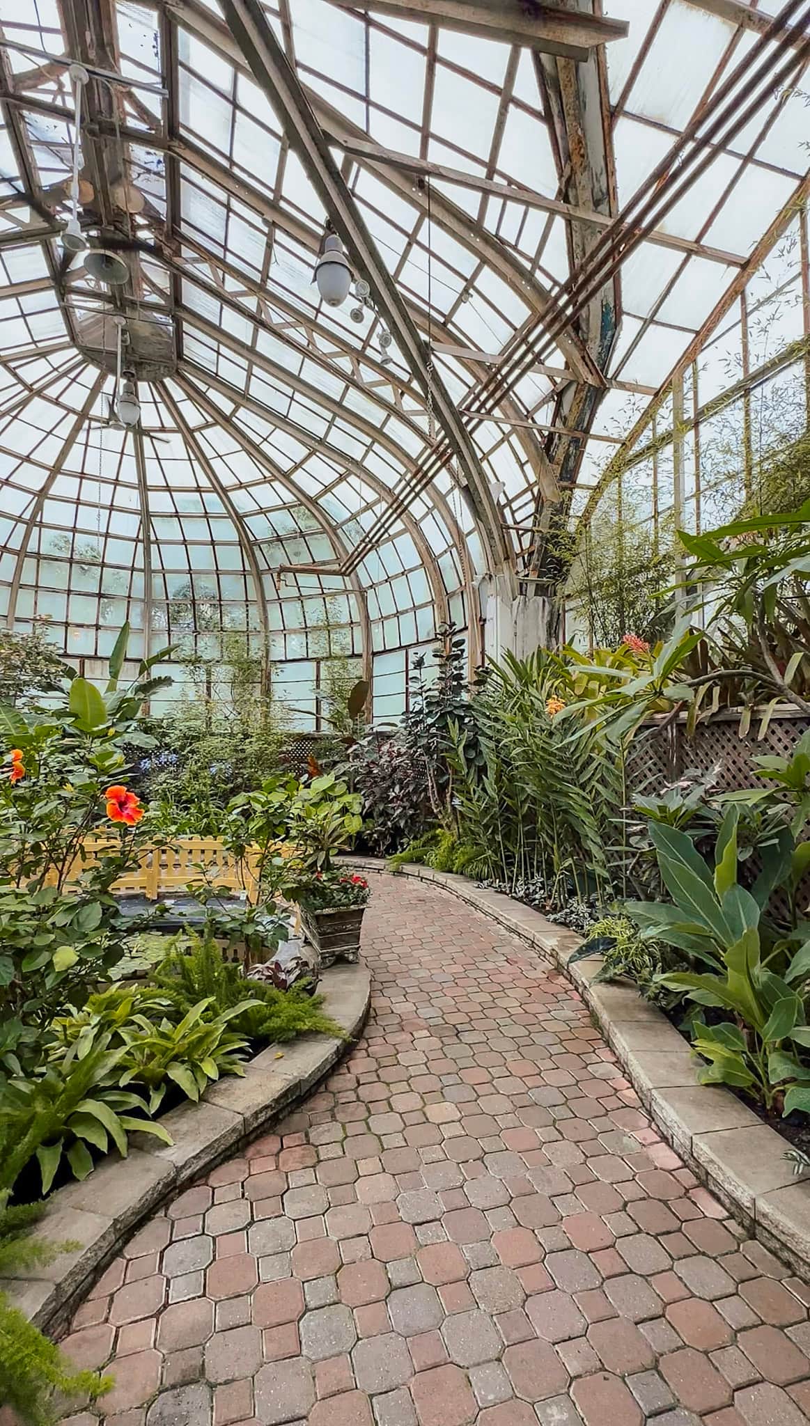 lincoln park conservatory