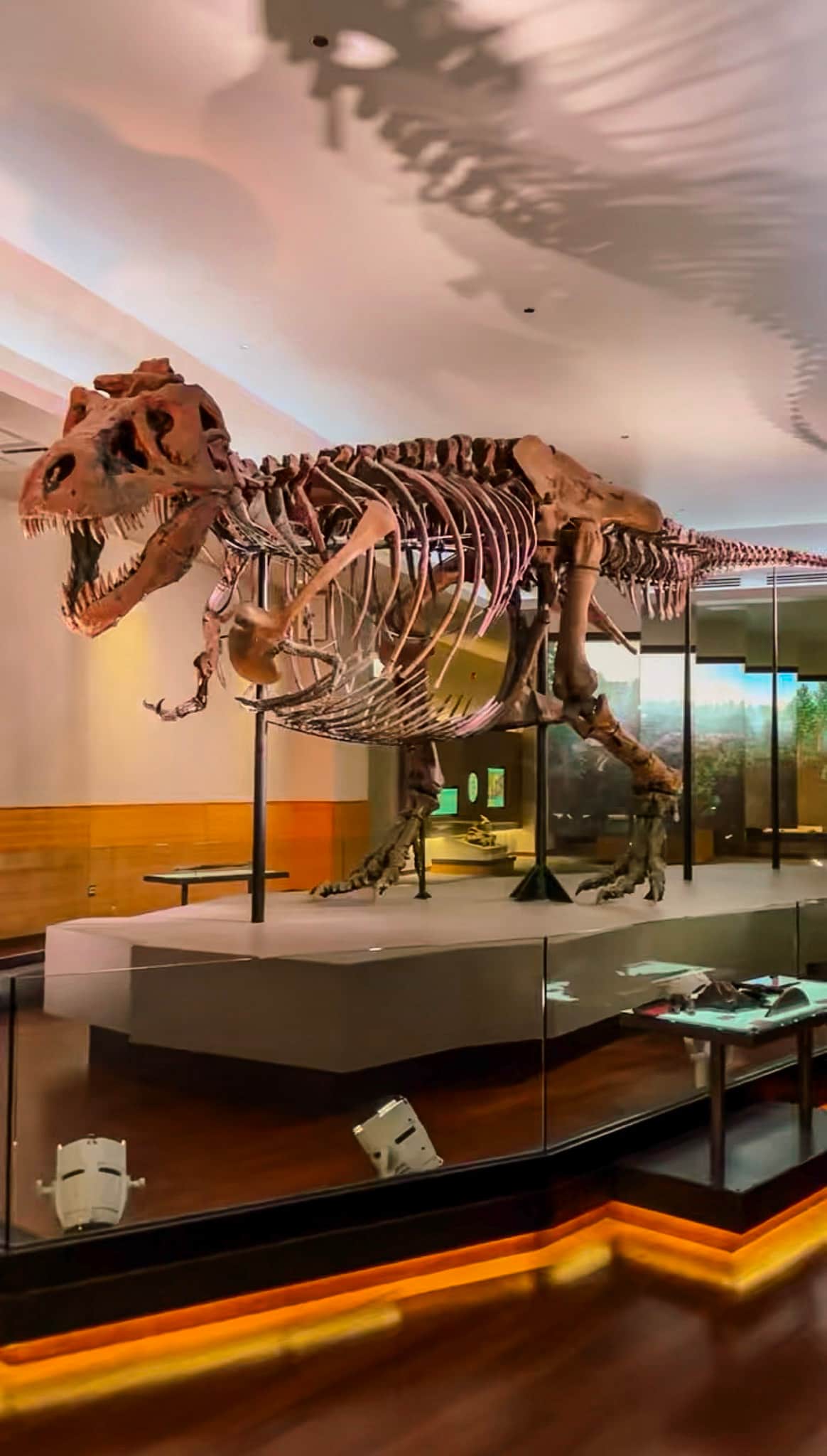 sue the t rex field museum chicago