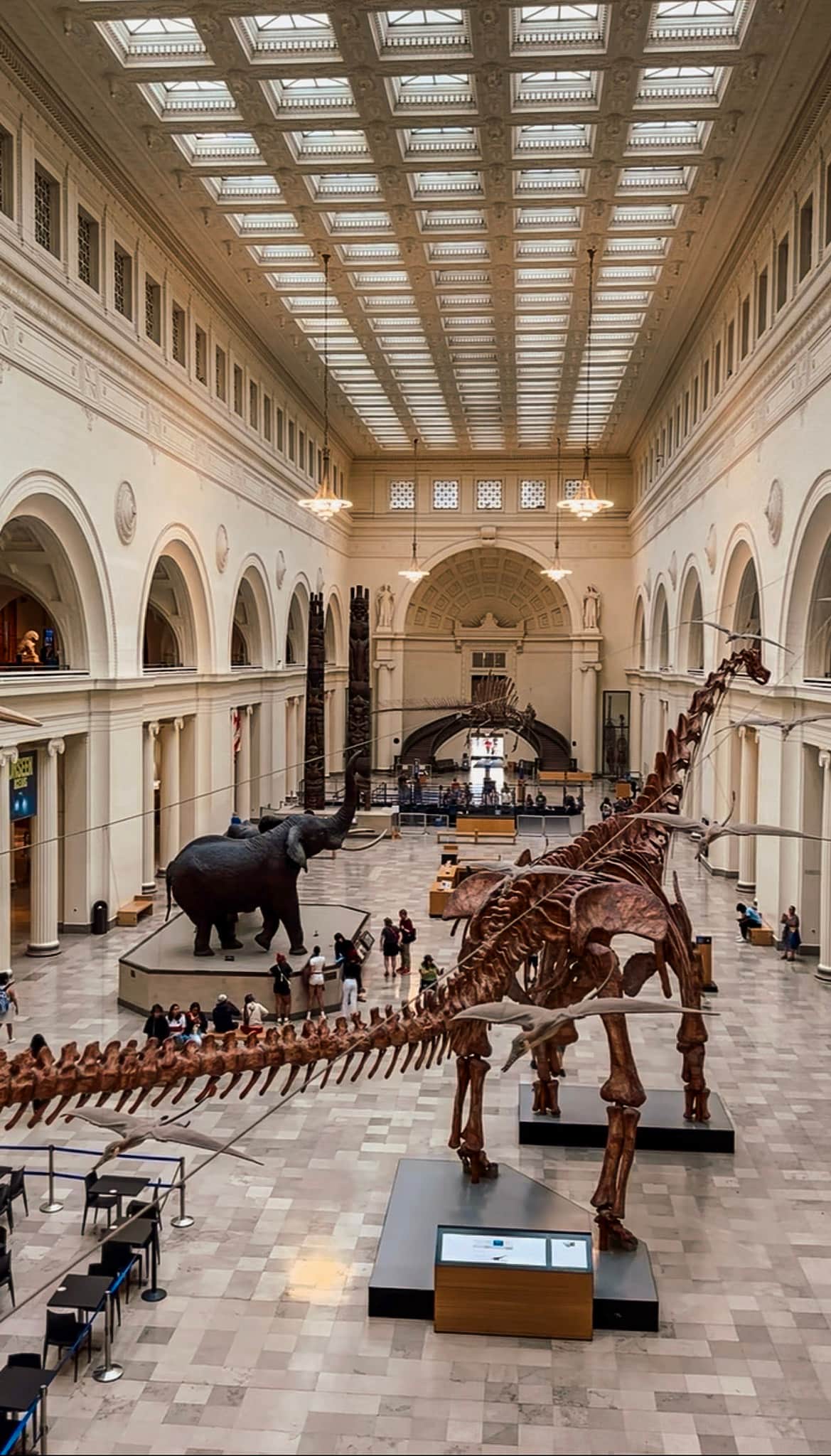 field museum chicago with kids