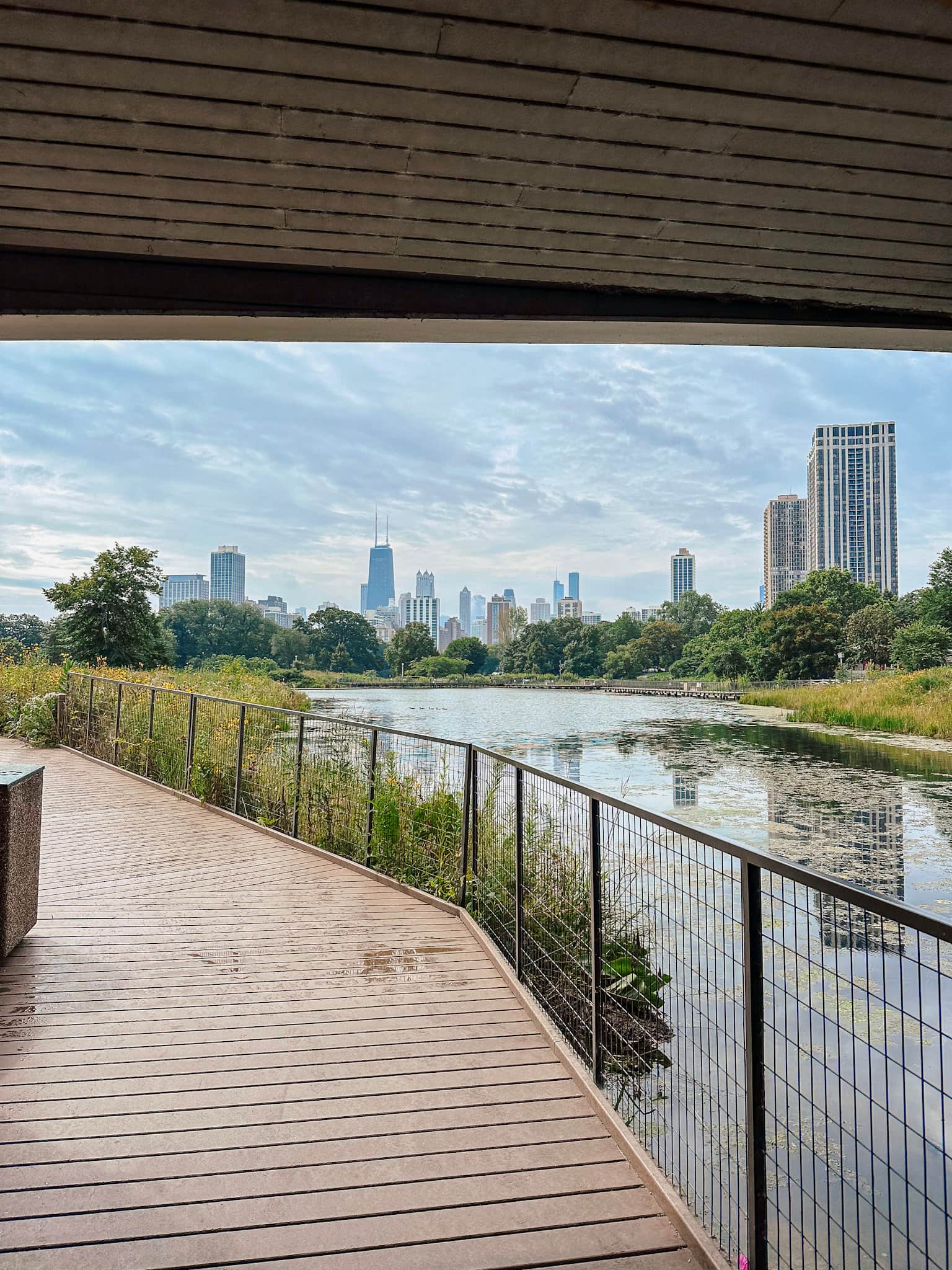 chicago with kids; lincoln park boardwalk
