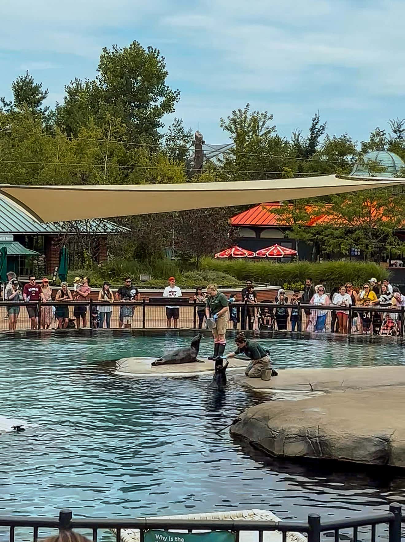 lincoln park zoo