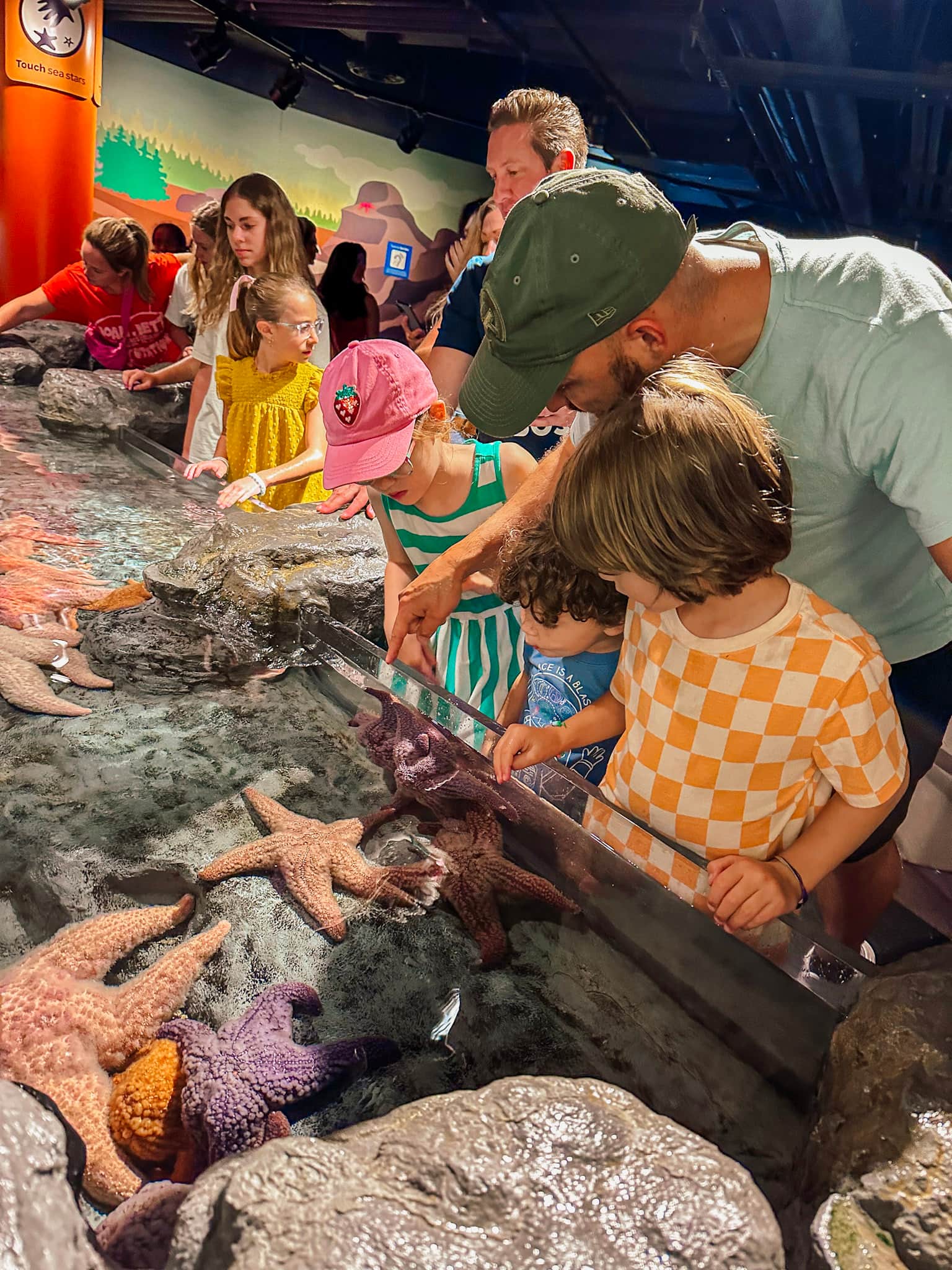 shedd aquarium chicago with kids
