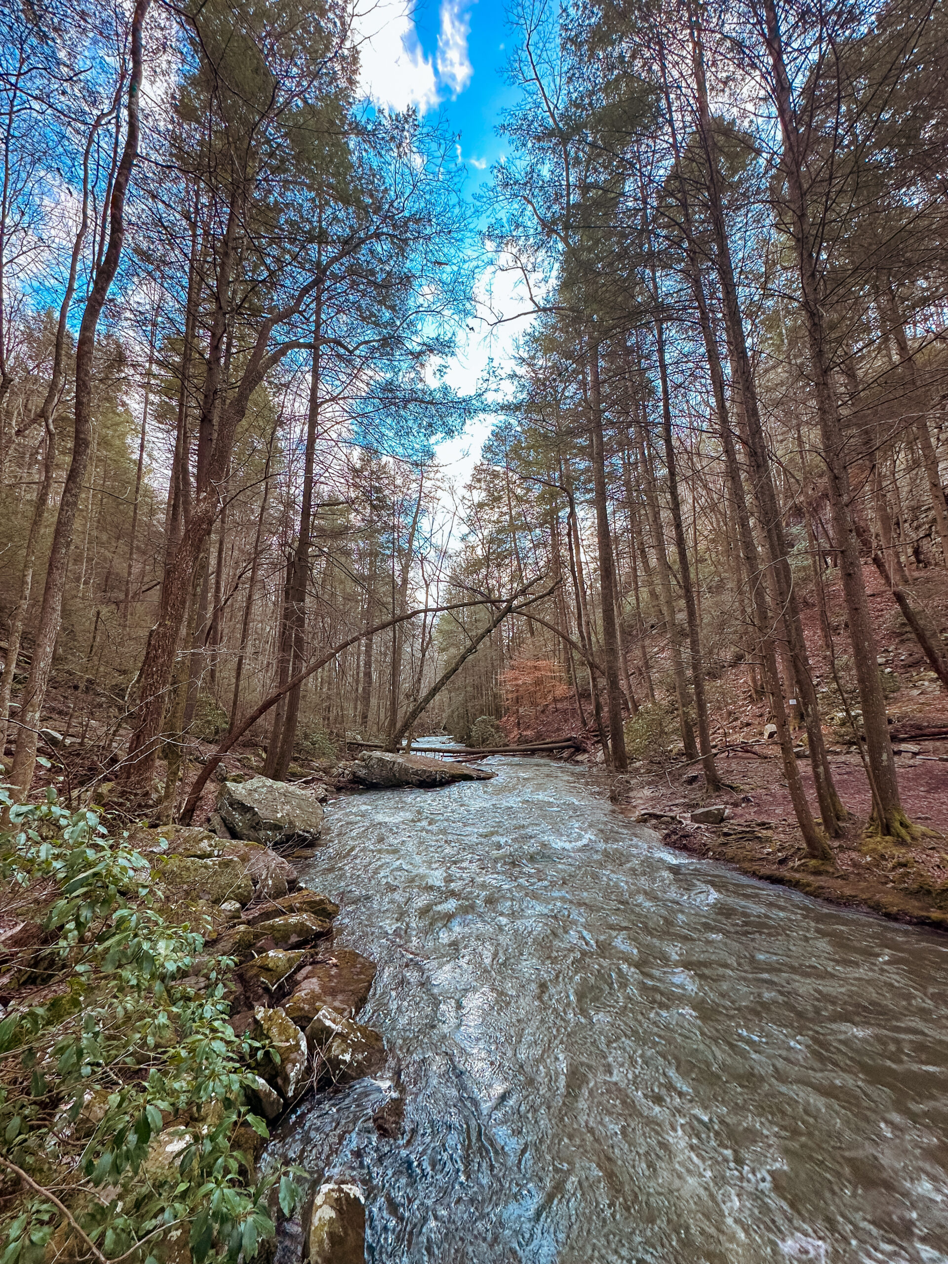 Bucket list places in Tennessee to take your kids before they grow up