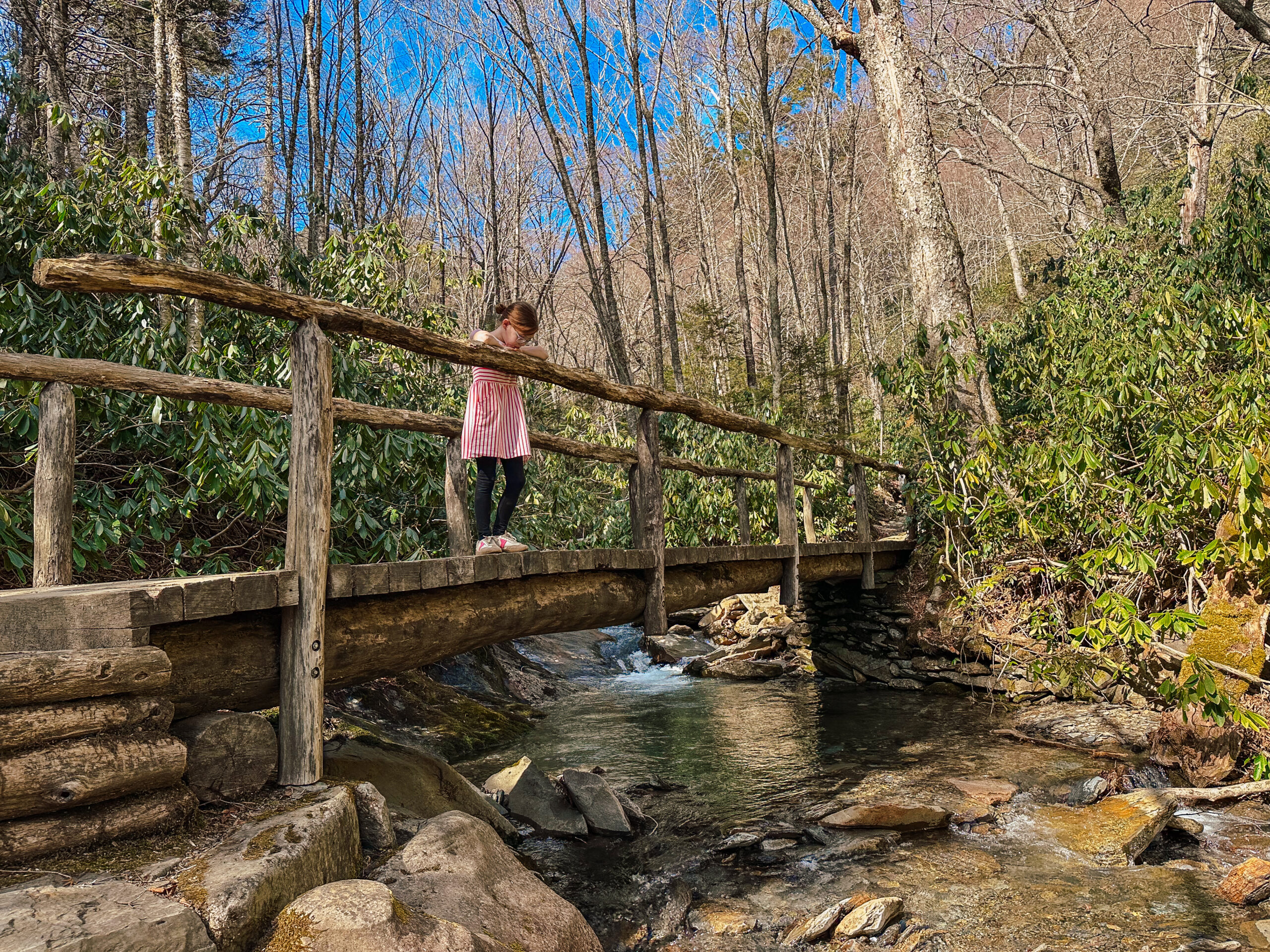 How to spend 2 days in Great Smoky Mountain National Park with kids