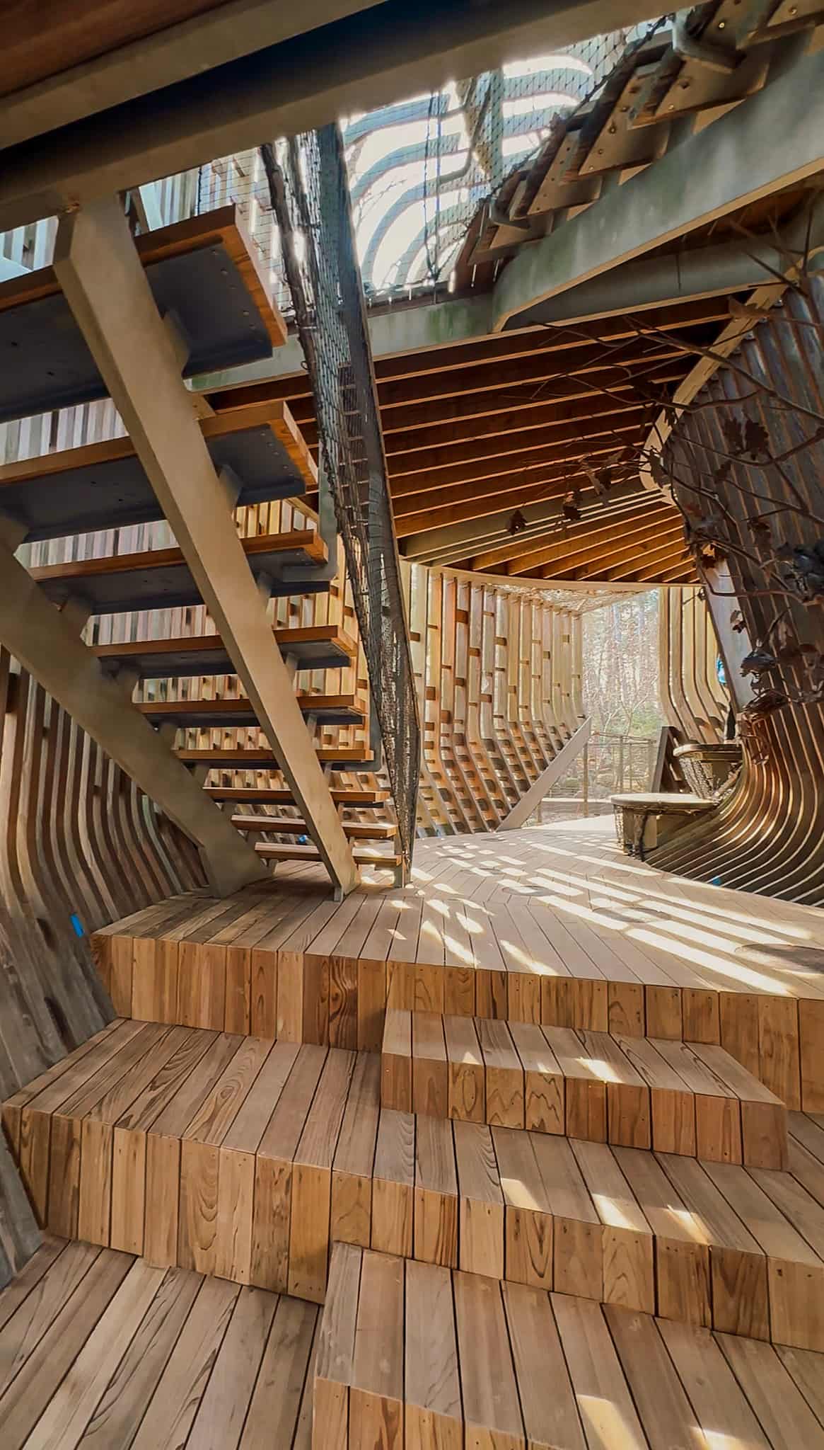 Treehouse in Garvan Woodland Gardens Hot Springs Arkansas