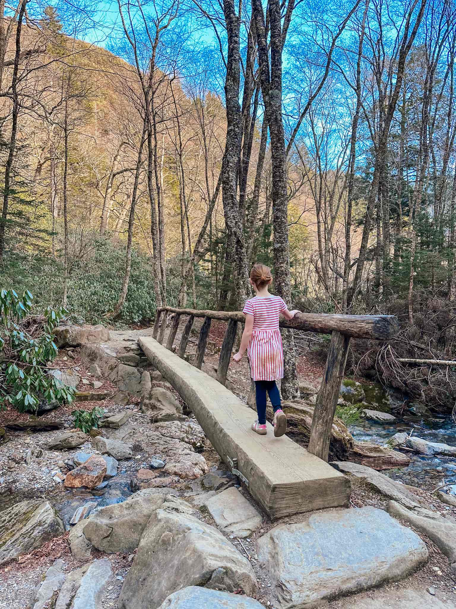 wooden bridge along Alum bluff trail