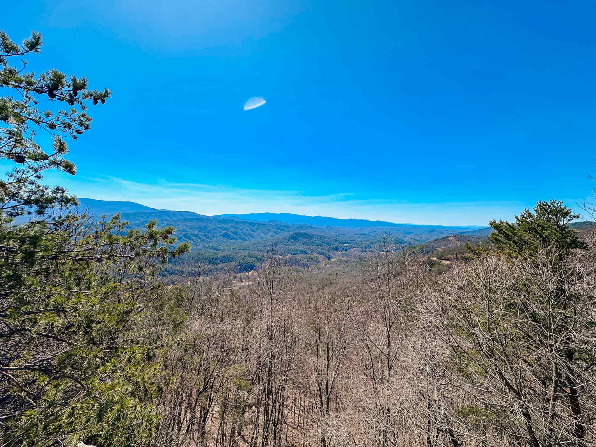 view from Look rock tower in Smoky mountain national park
