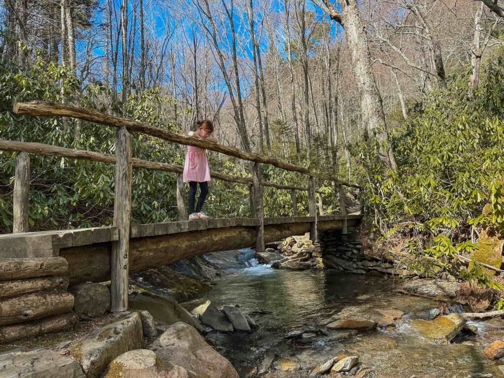 girl standing on wooden bridge overlooking river in smoky mountain national park