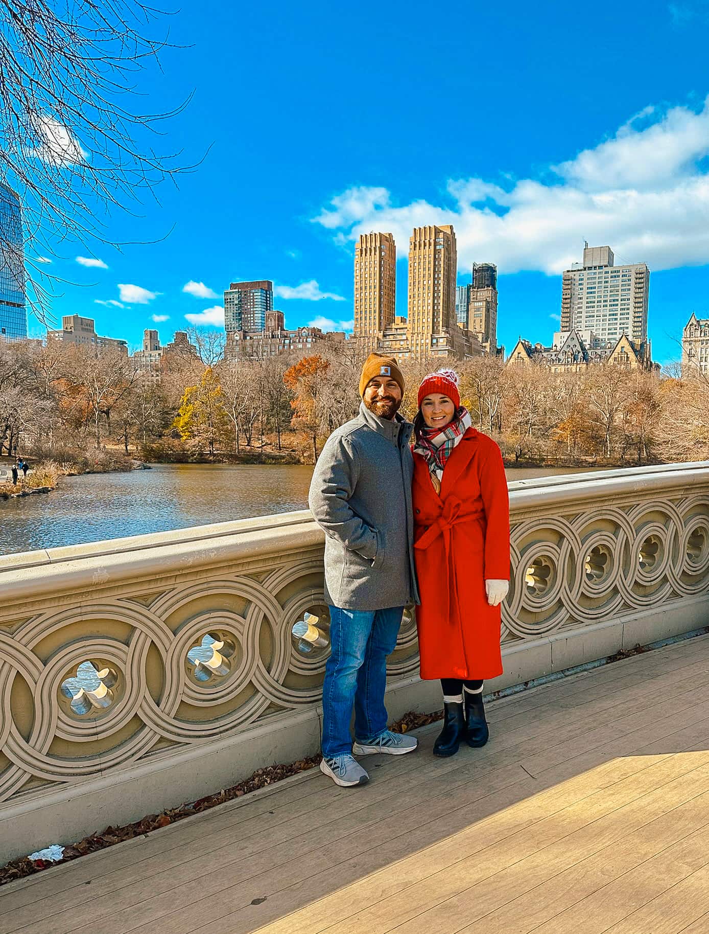 central park new york city at christmas 