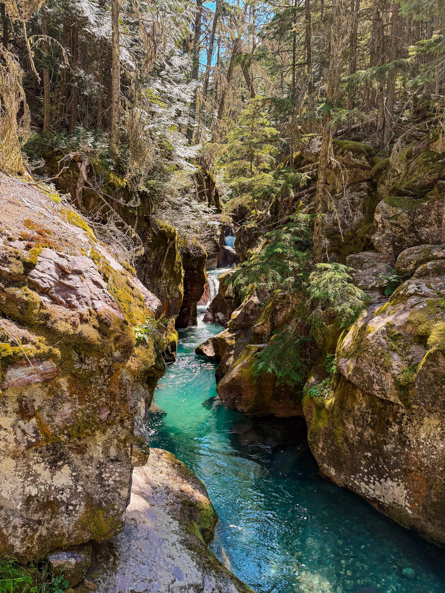 trail of the cedars