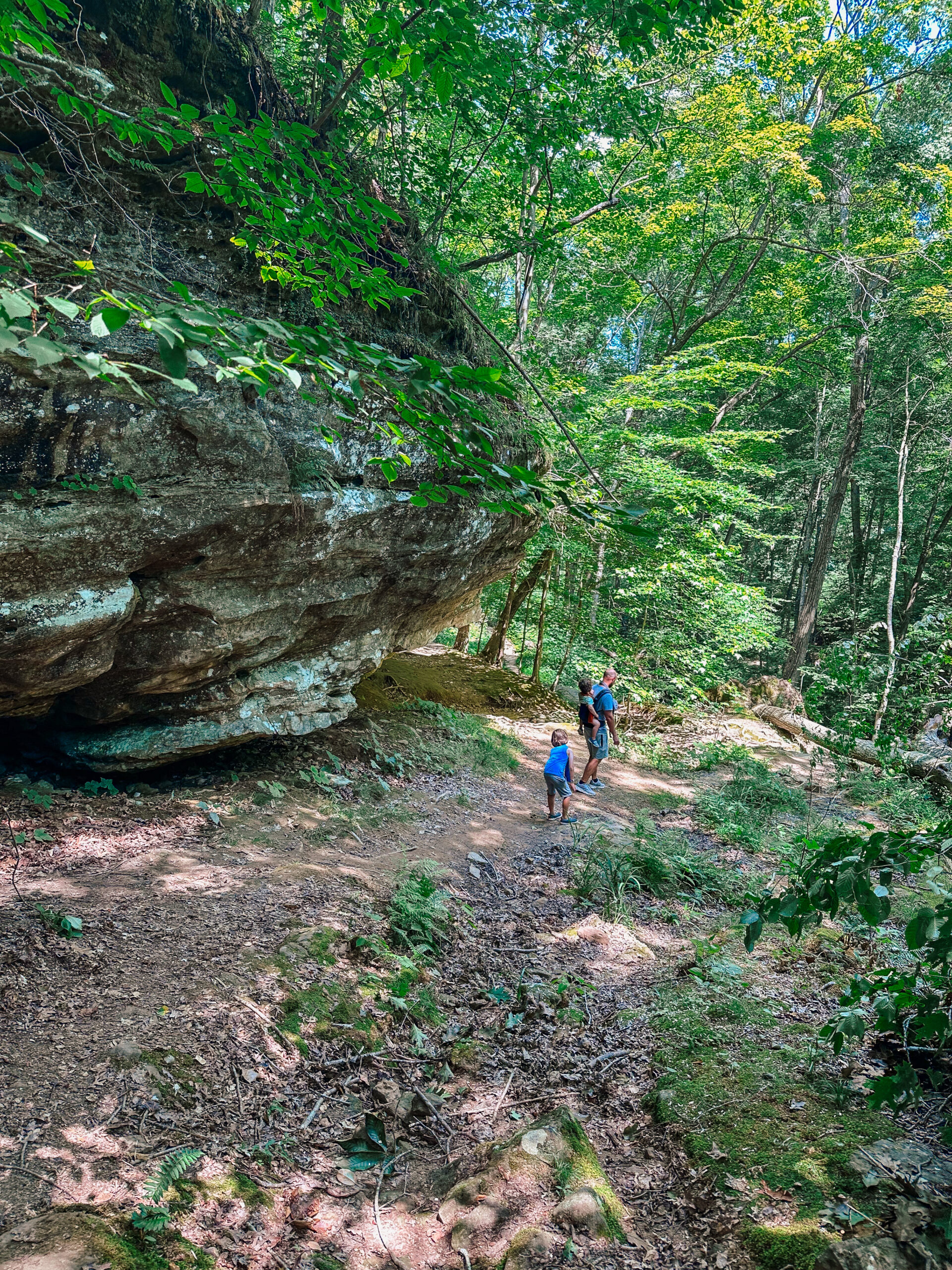 Shawnee National forest