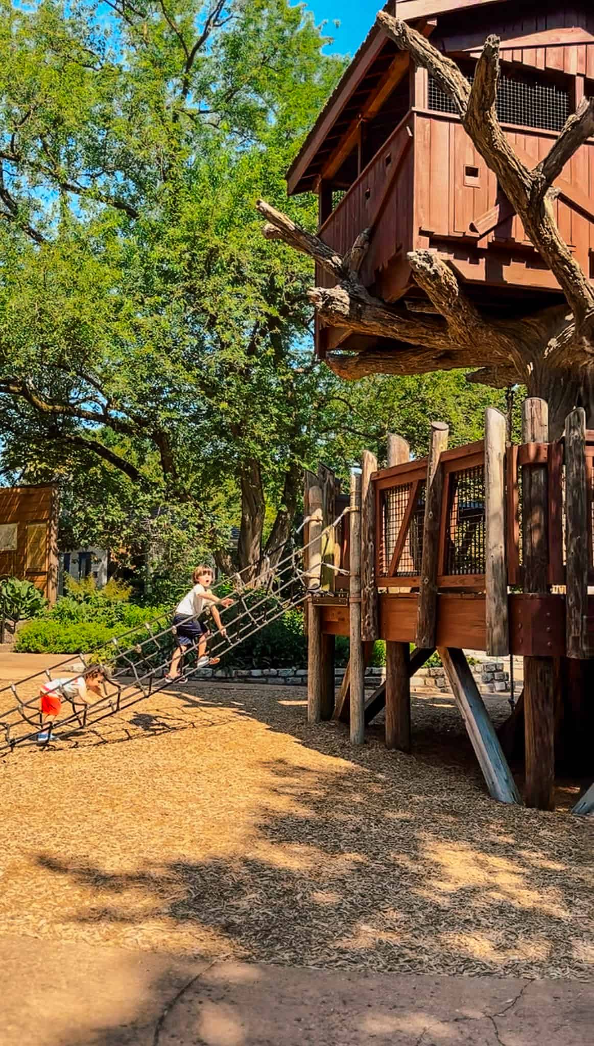 Children playing near treehouse structure