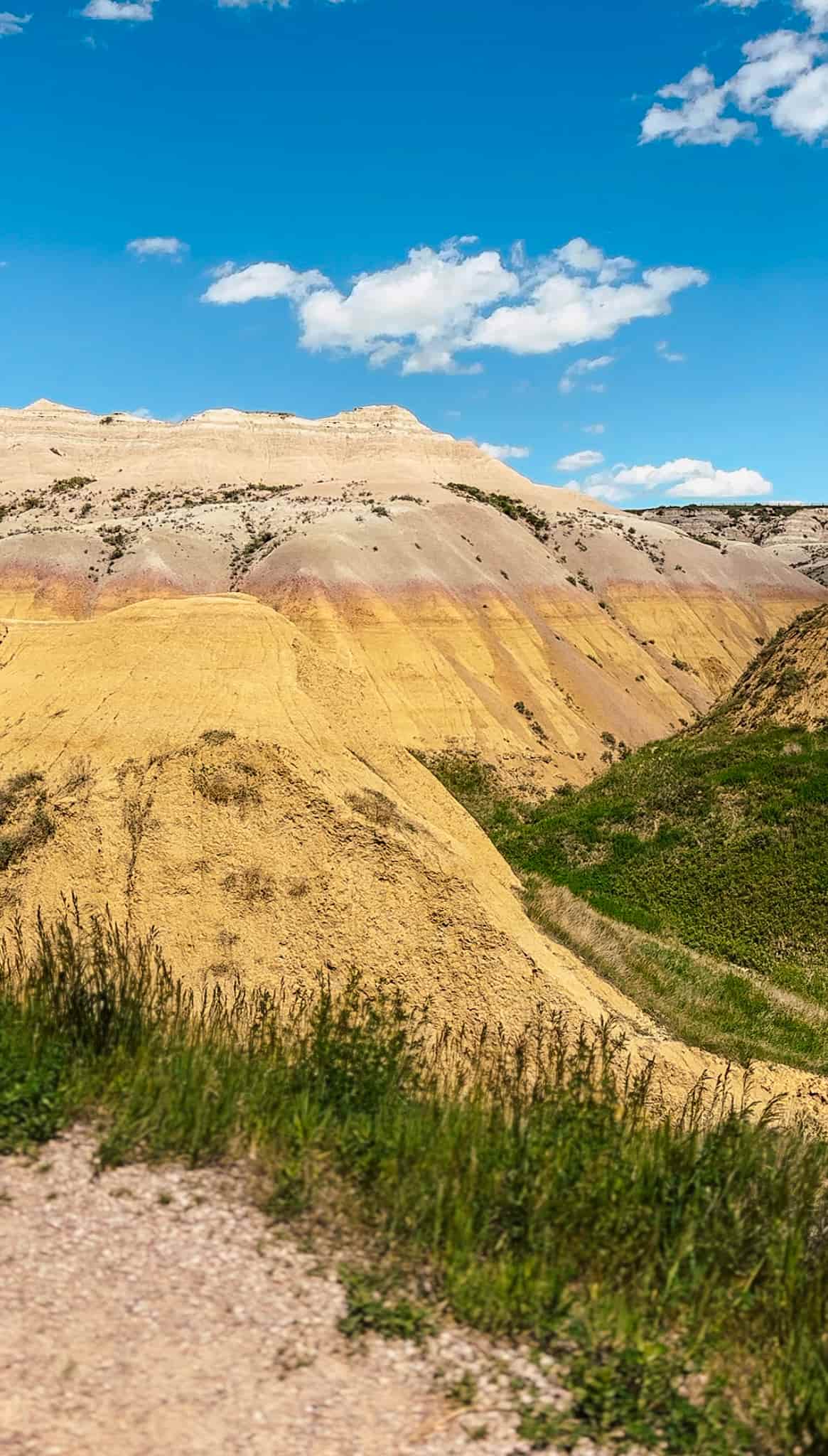 yellow mounds in badlands 