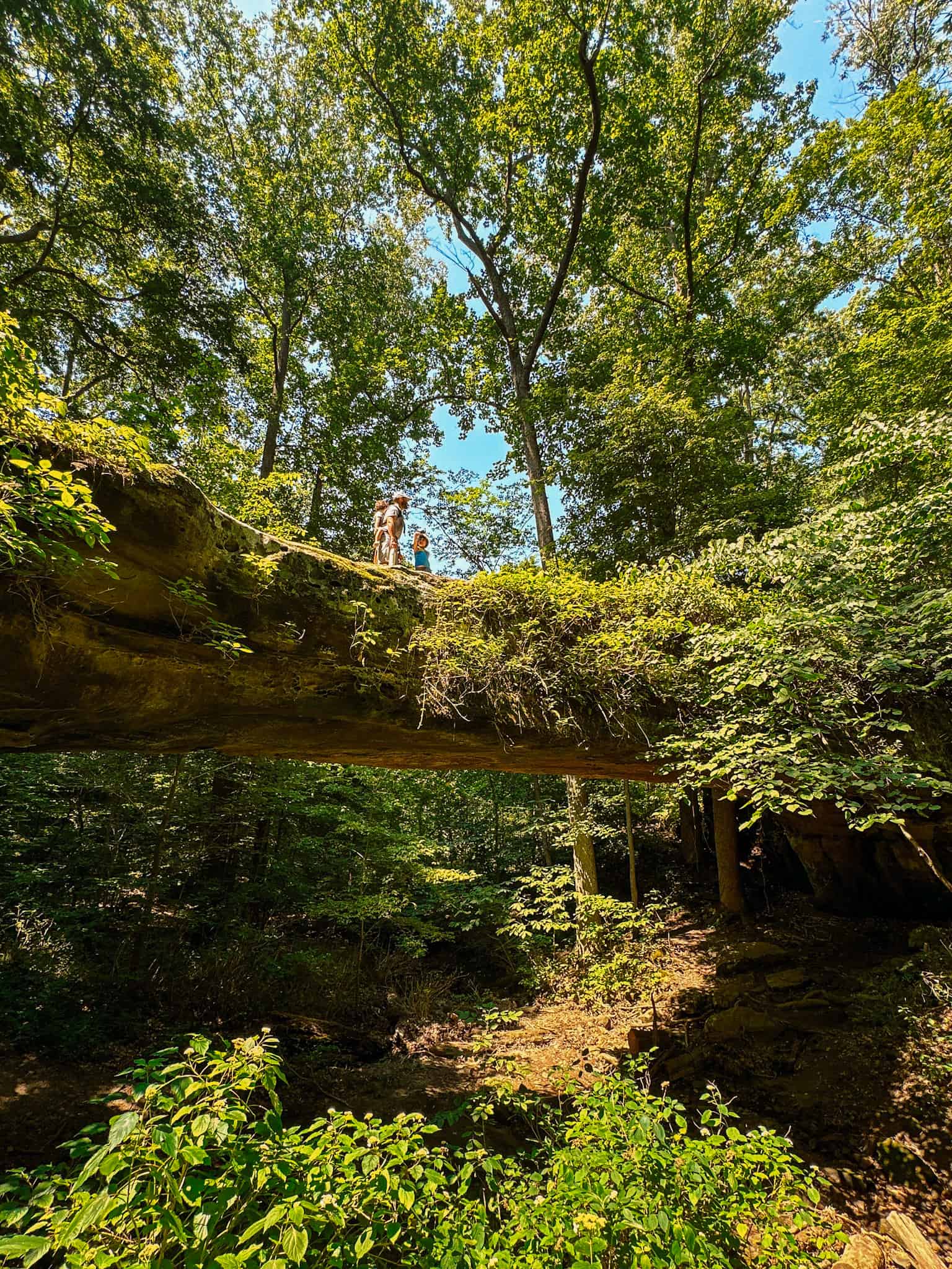 natural bridge shawnee national forest