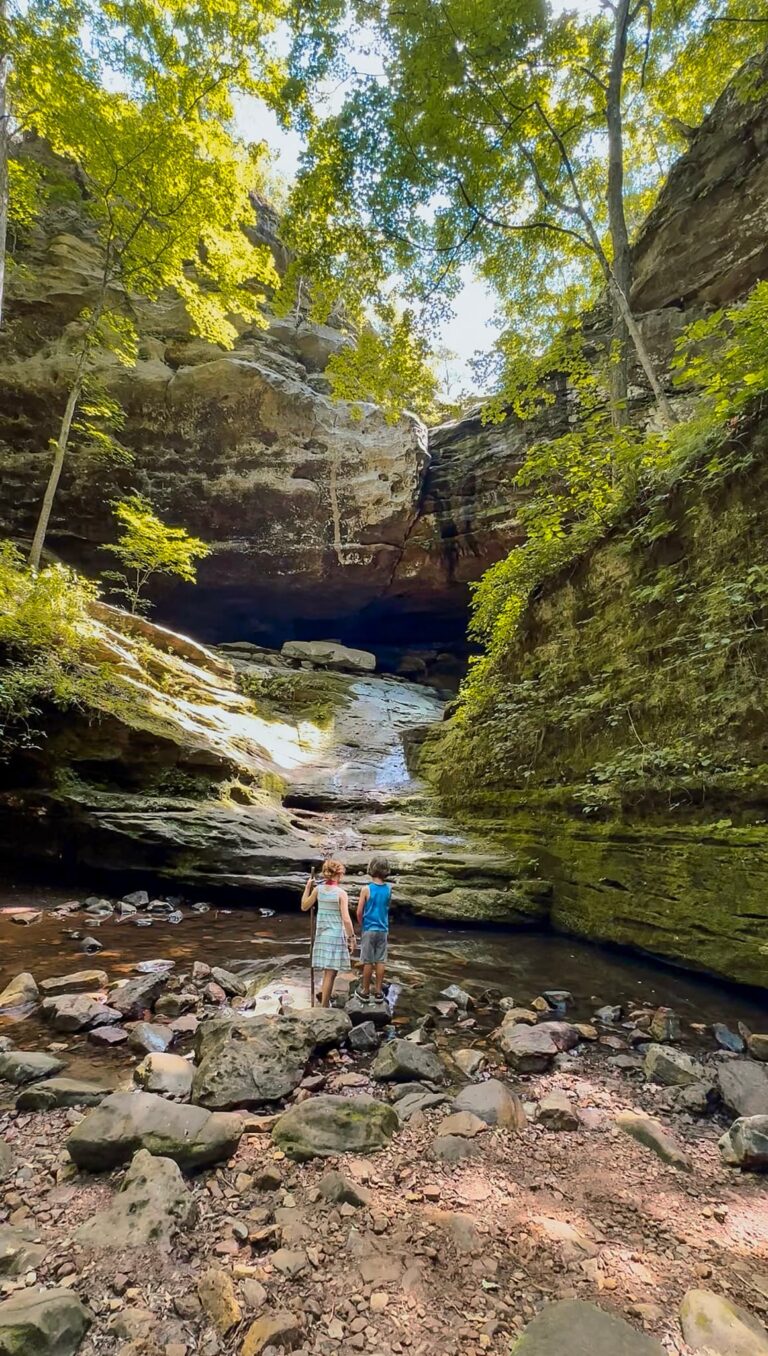 shawnee national forest illinois