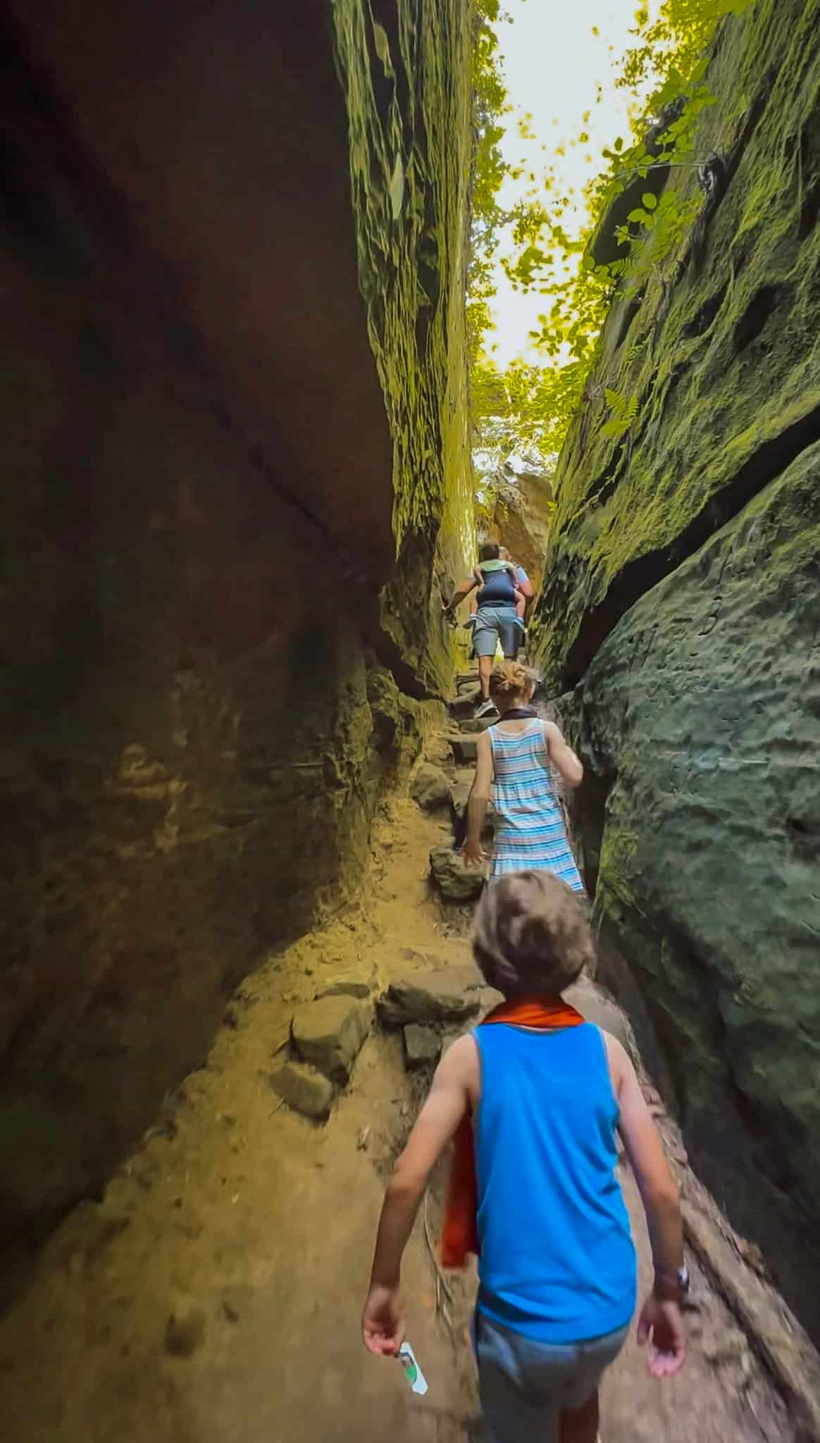 shawnee national forest