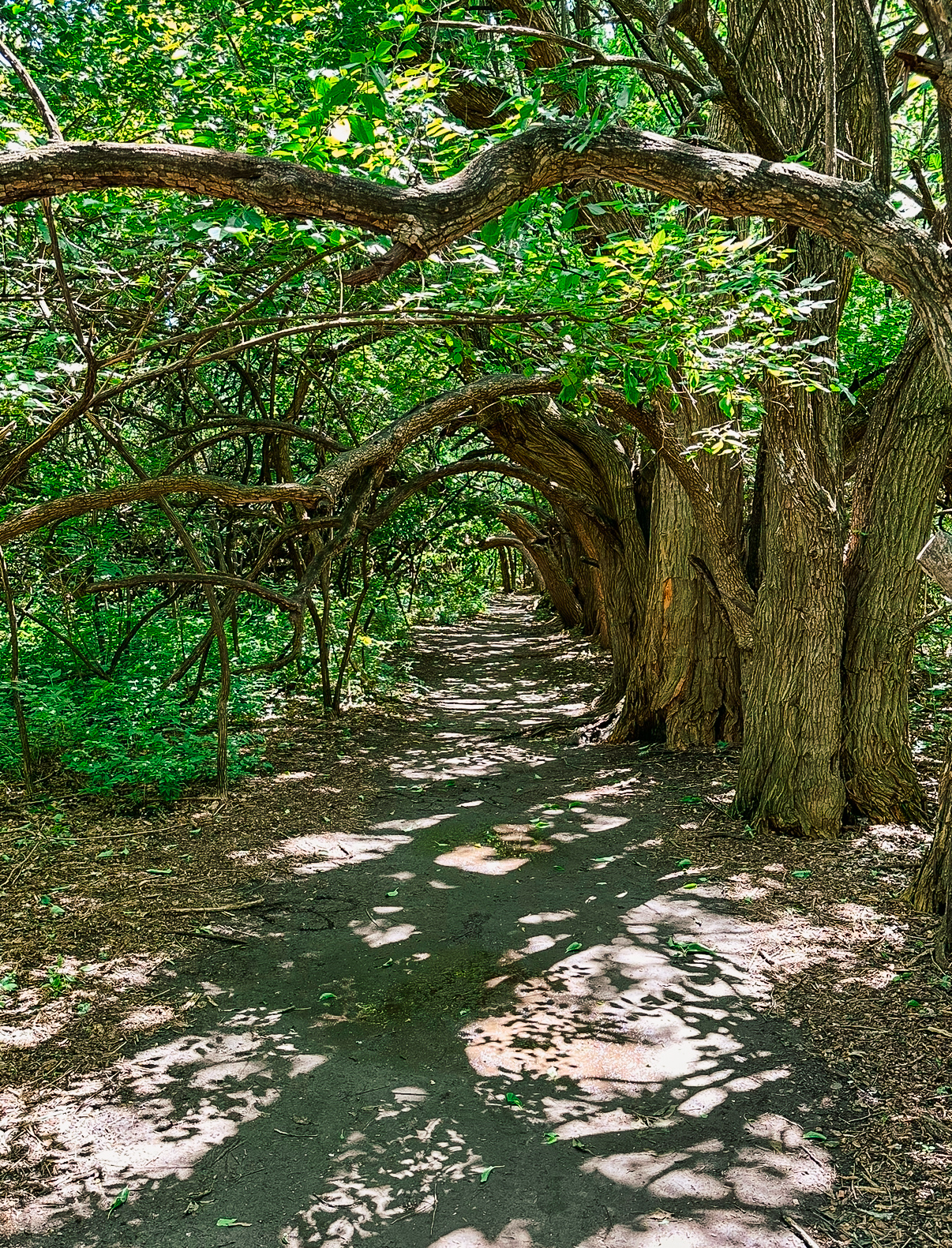 15 Quirky and Unique Spots to Visit in Kansas