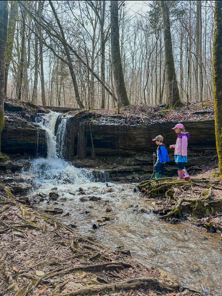 The Ultimate 7-Day Tennessee Road Trip for Families