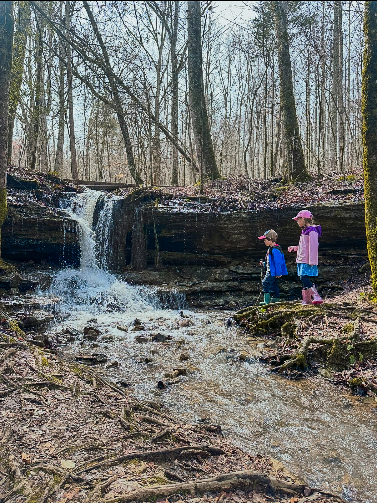 The Ultimate 7-Day Tennessee Road Trip for Families