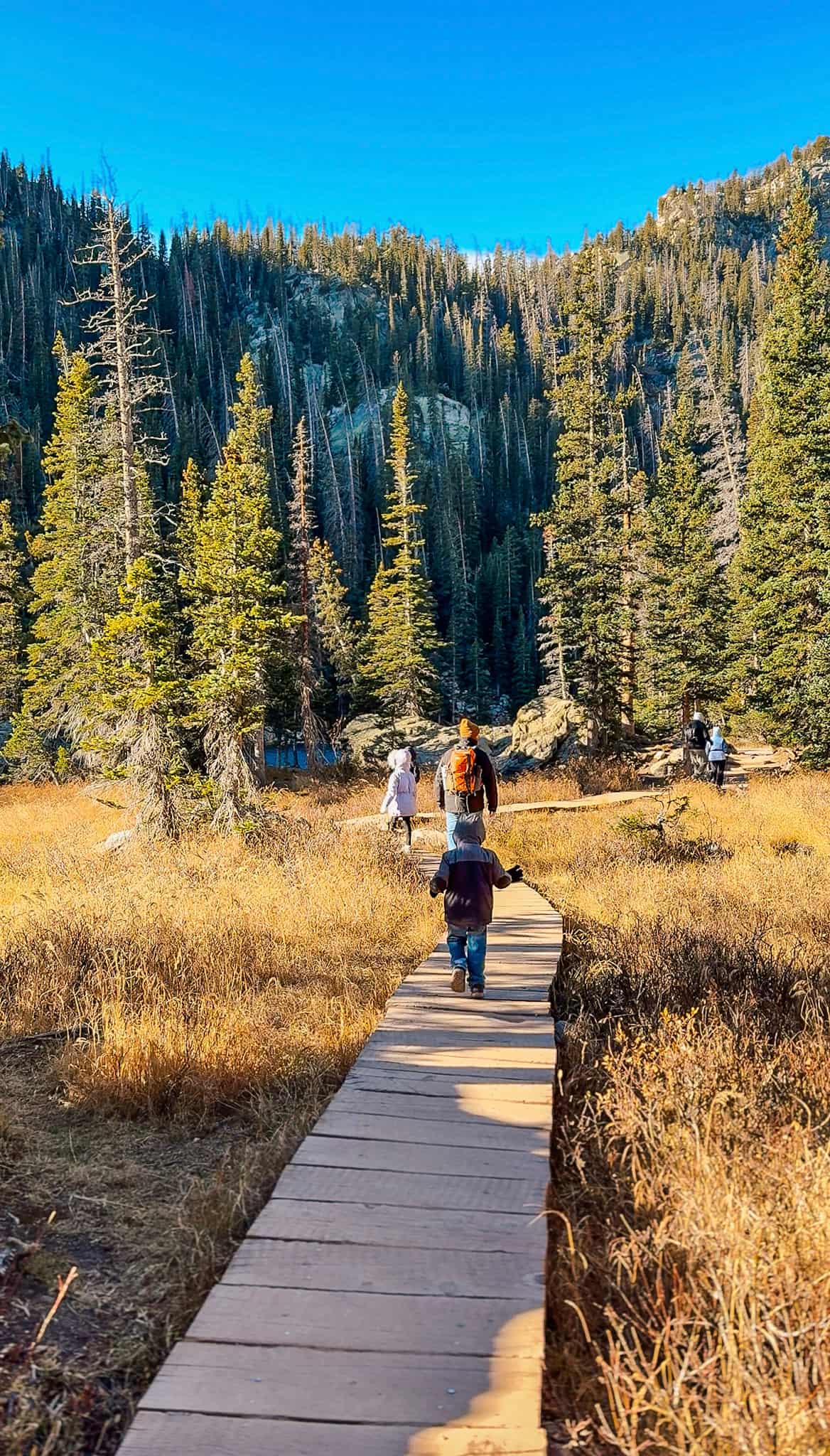 Family hiking in RMNP