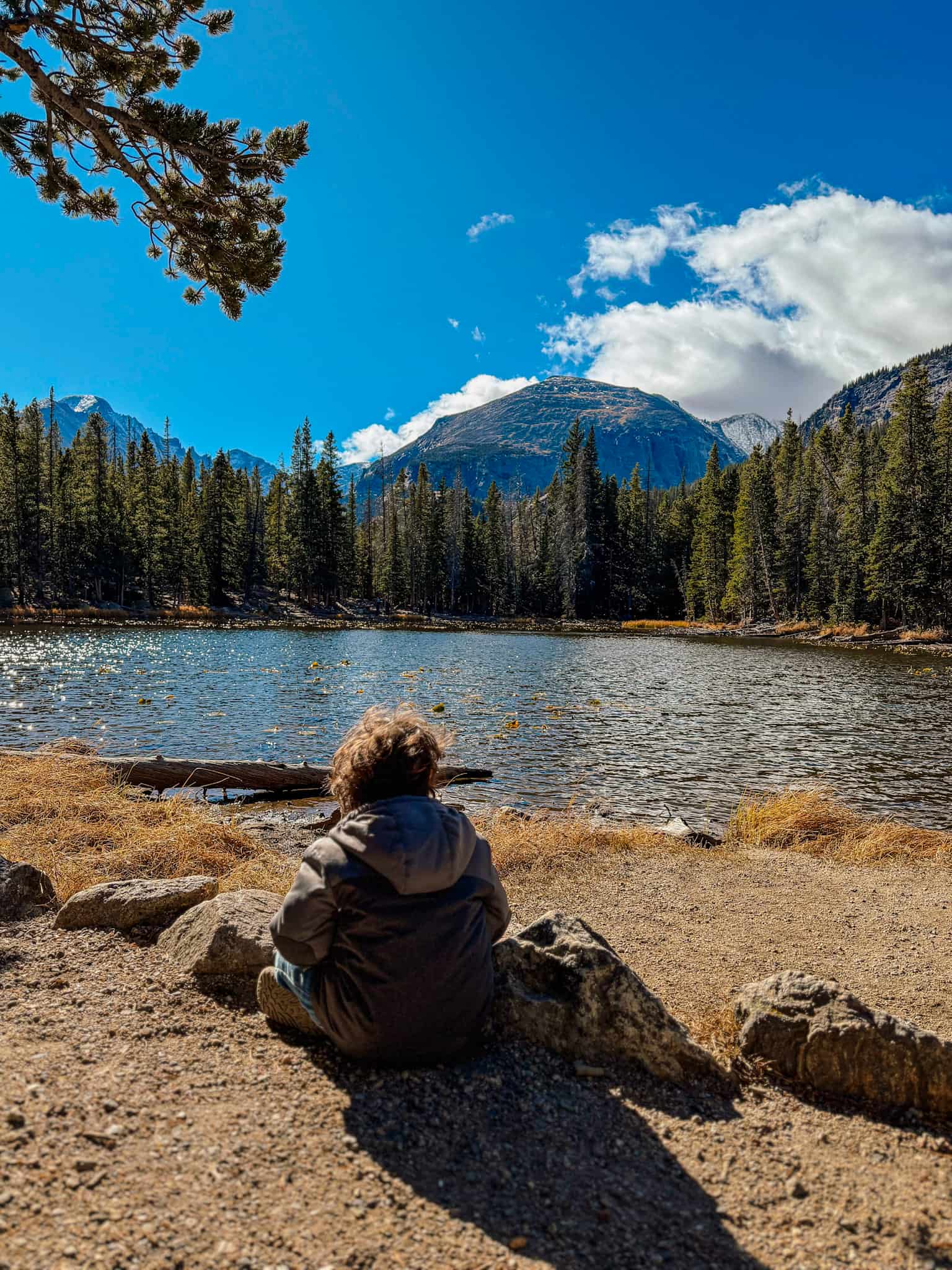 little boy at bear lake in rocky mountain national park