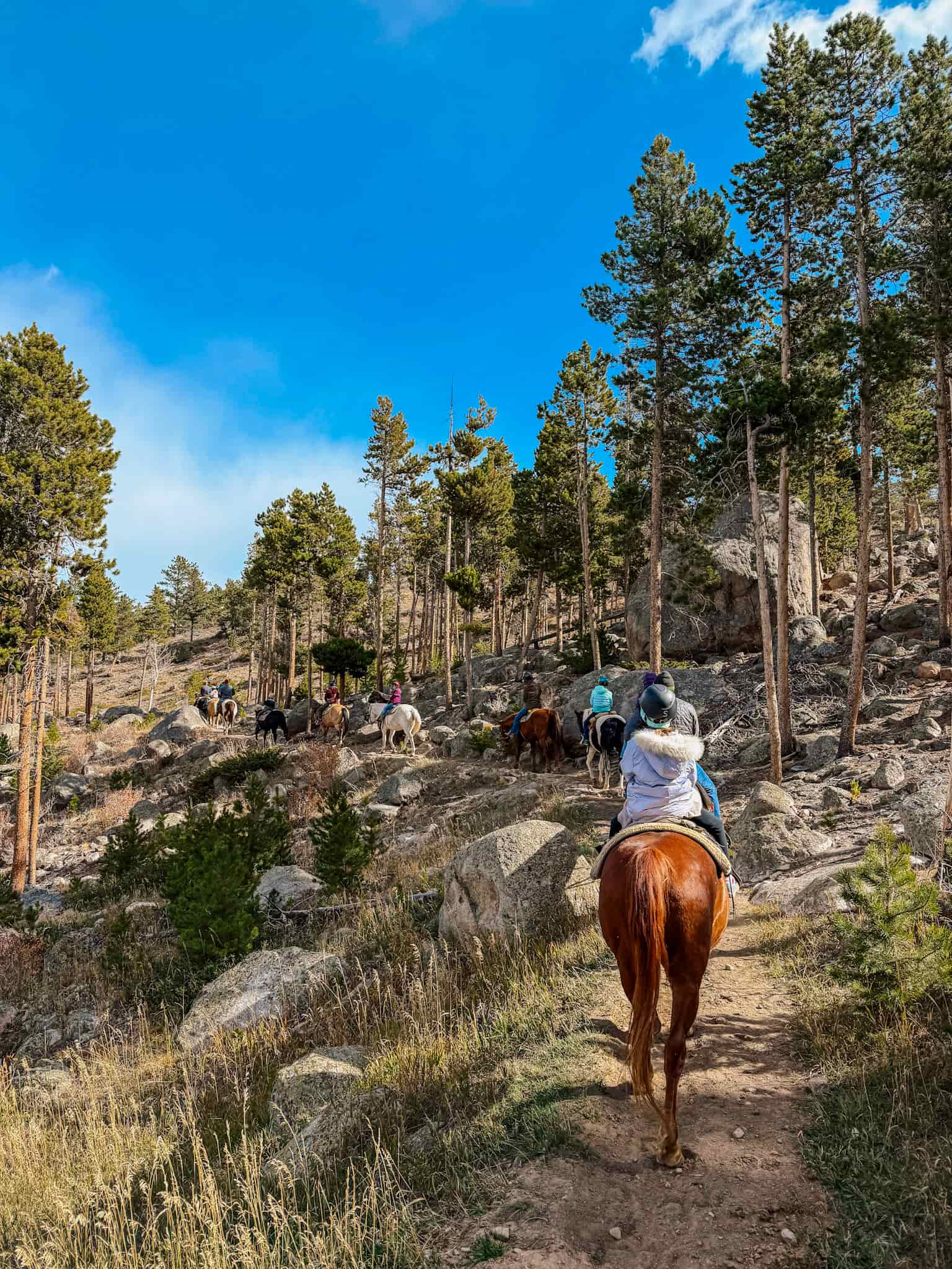 horseback riding YMCA of the rockies