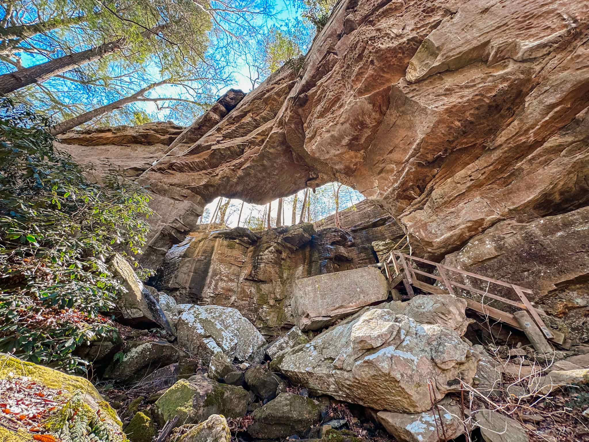 natural arch bridge in daniel boone national forest