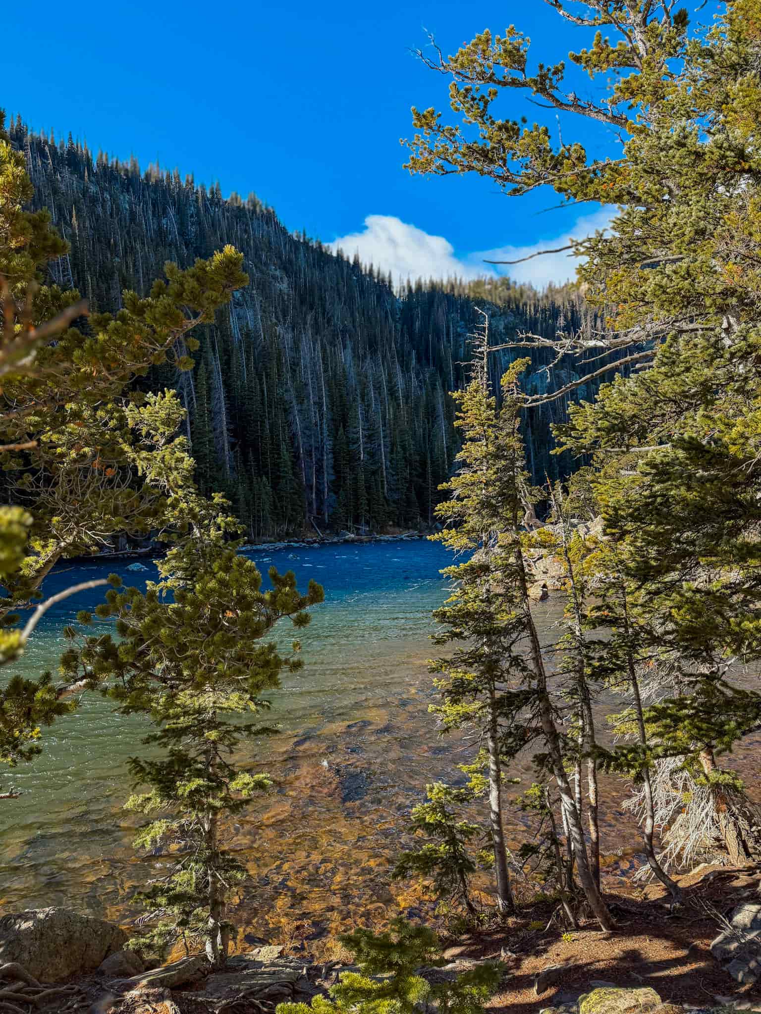 rocky mountain national park with kids