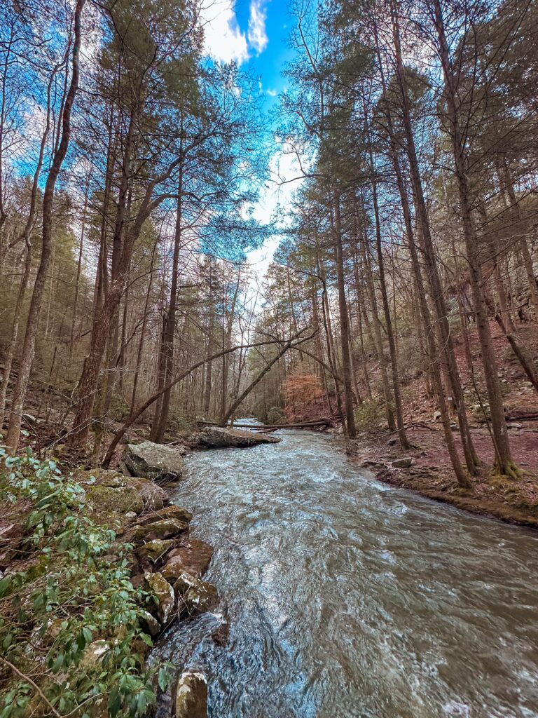 Tennessee waterfall chasing