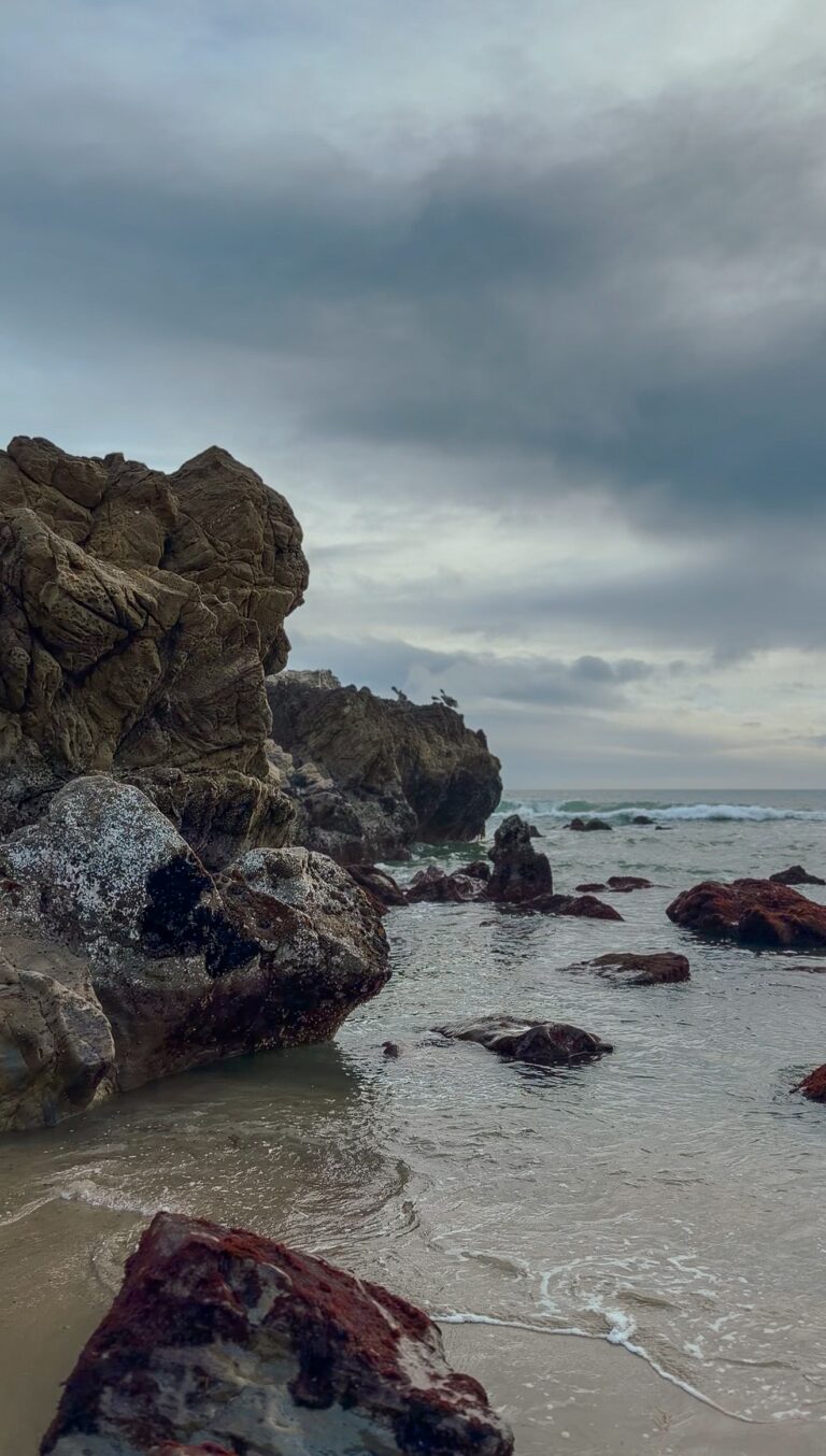 Tidepooling at Leo Carillo Beach in Southern California