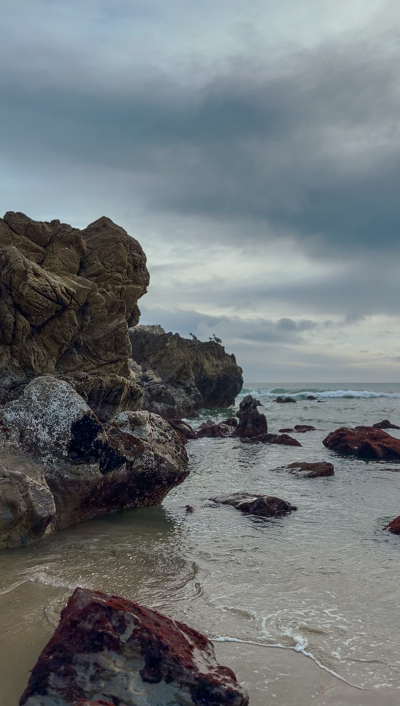 Tidepooling at Leo Carillo Beach in Southern California