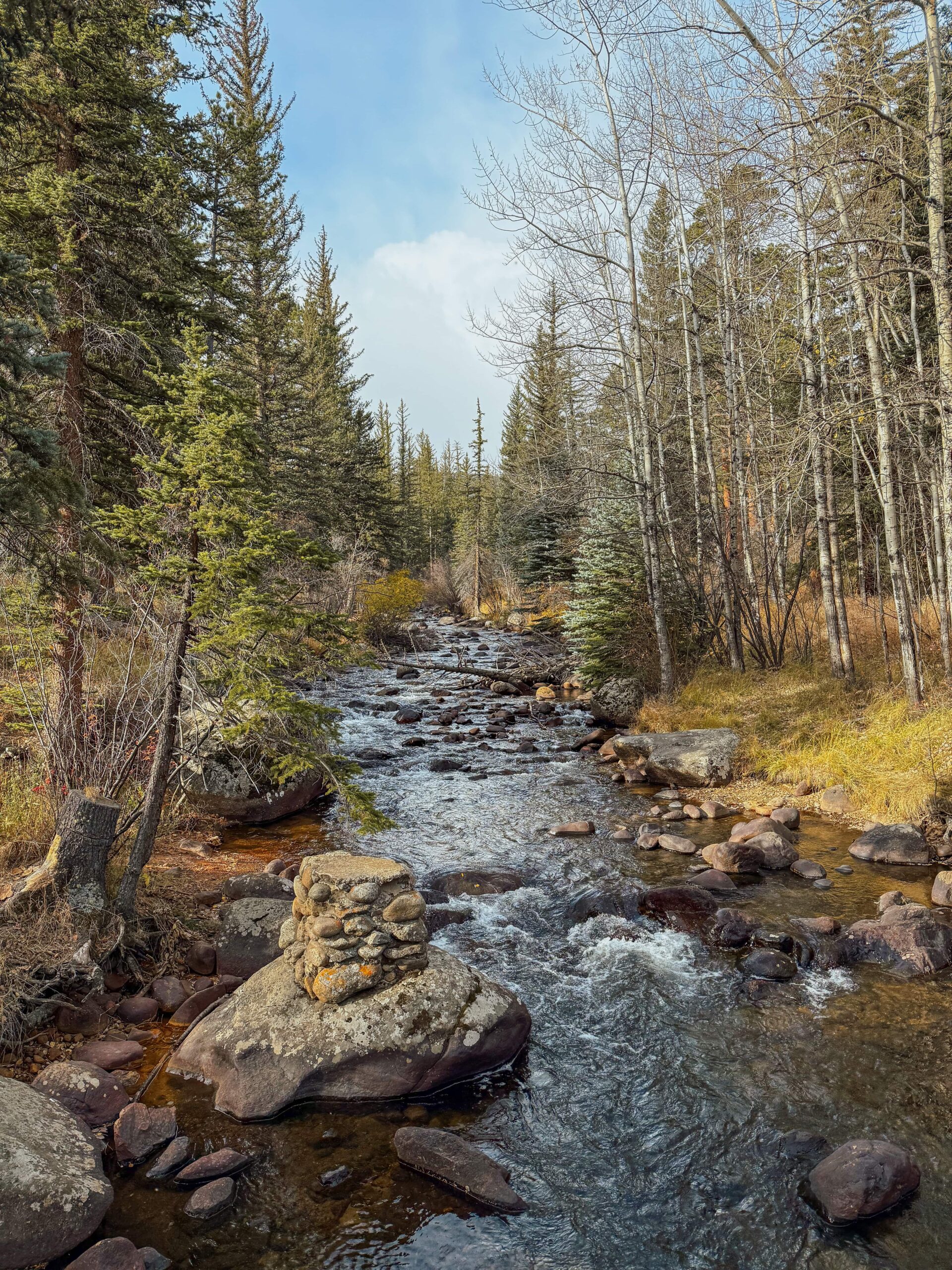 Flowing river in Rocky Mountain National Park, surrounded by trees