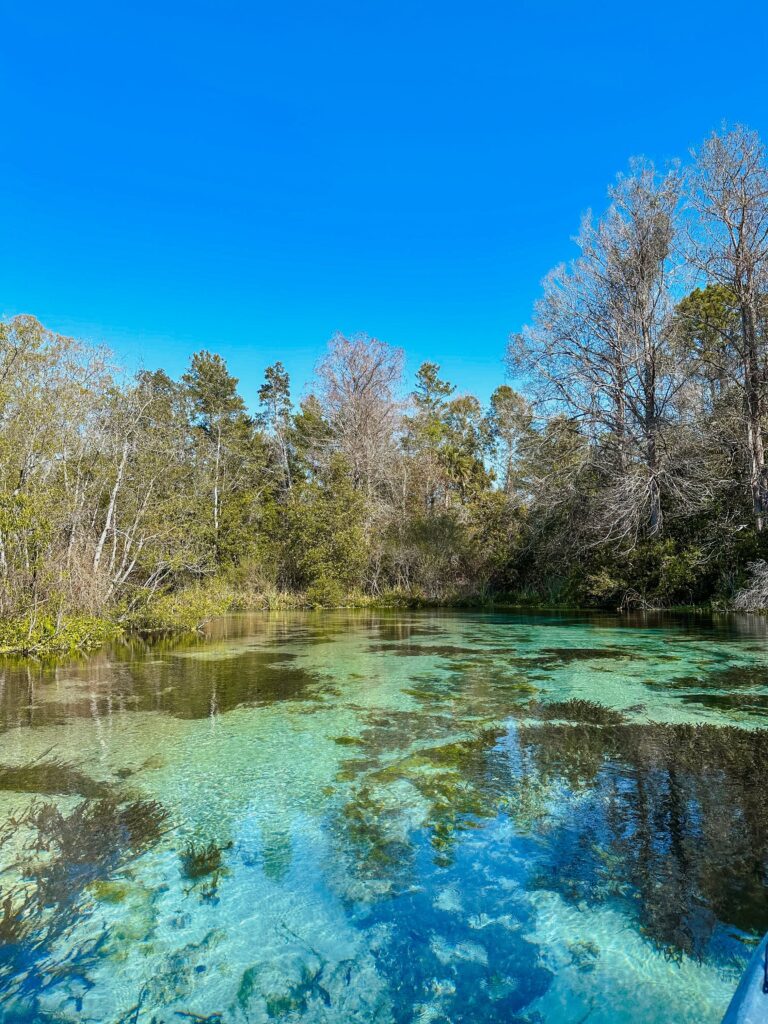 Weeki Wachi River, Florida