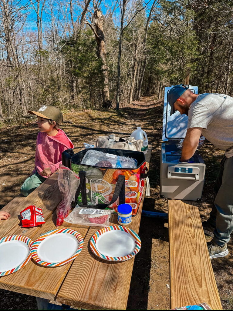 family on a road trip having a picnic with electric cooler