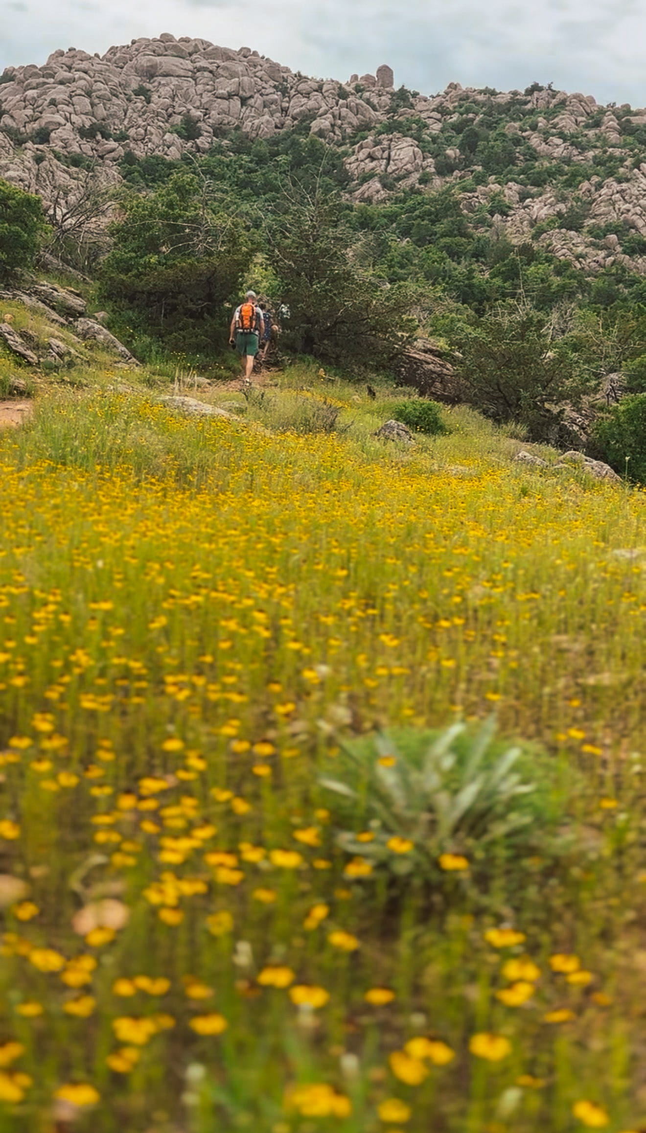 Wichita Mountain Wildlife refuge Oklahoma