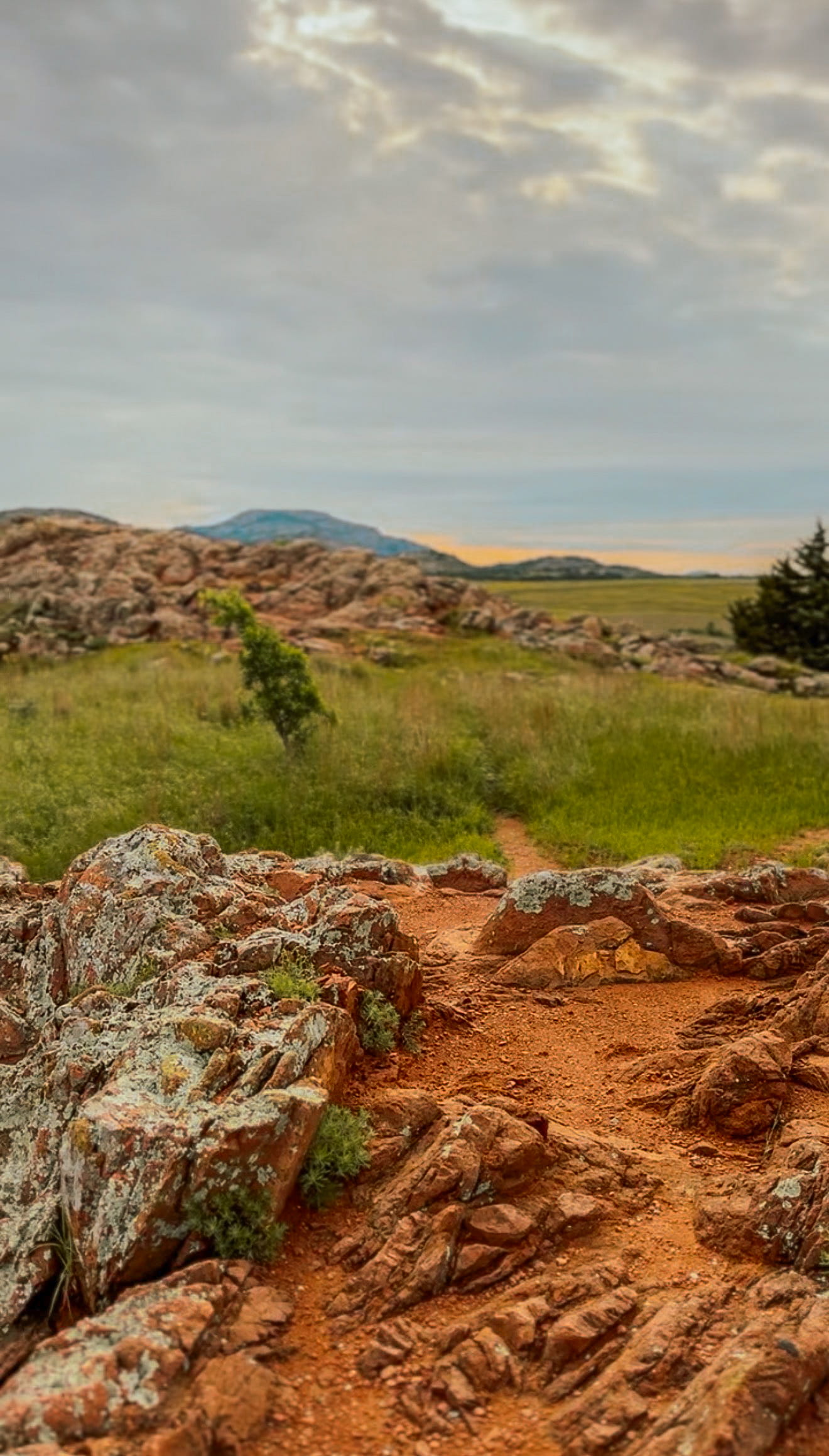 landscape and wildlflowers at Wichita Mountain Wildlife refuge in Lawton Oklahoma