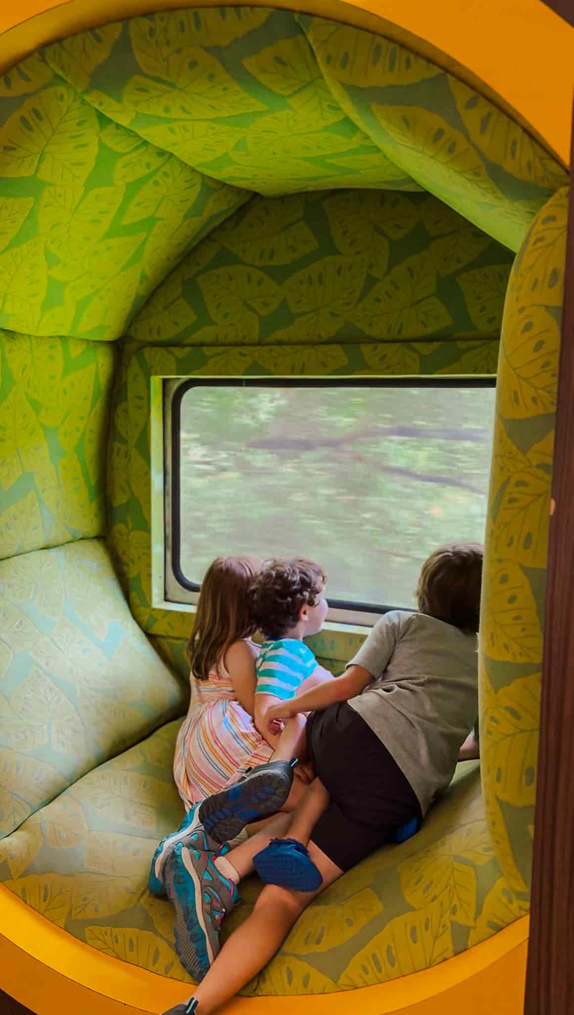 children looking out the window on cuyahoga valley national park train 