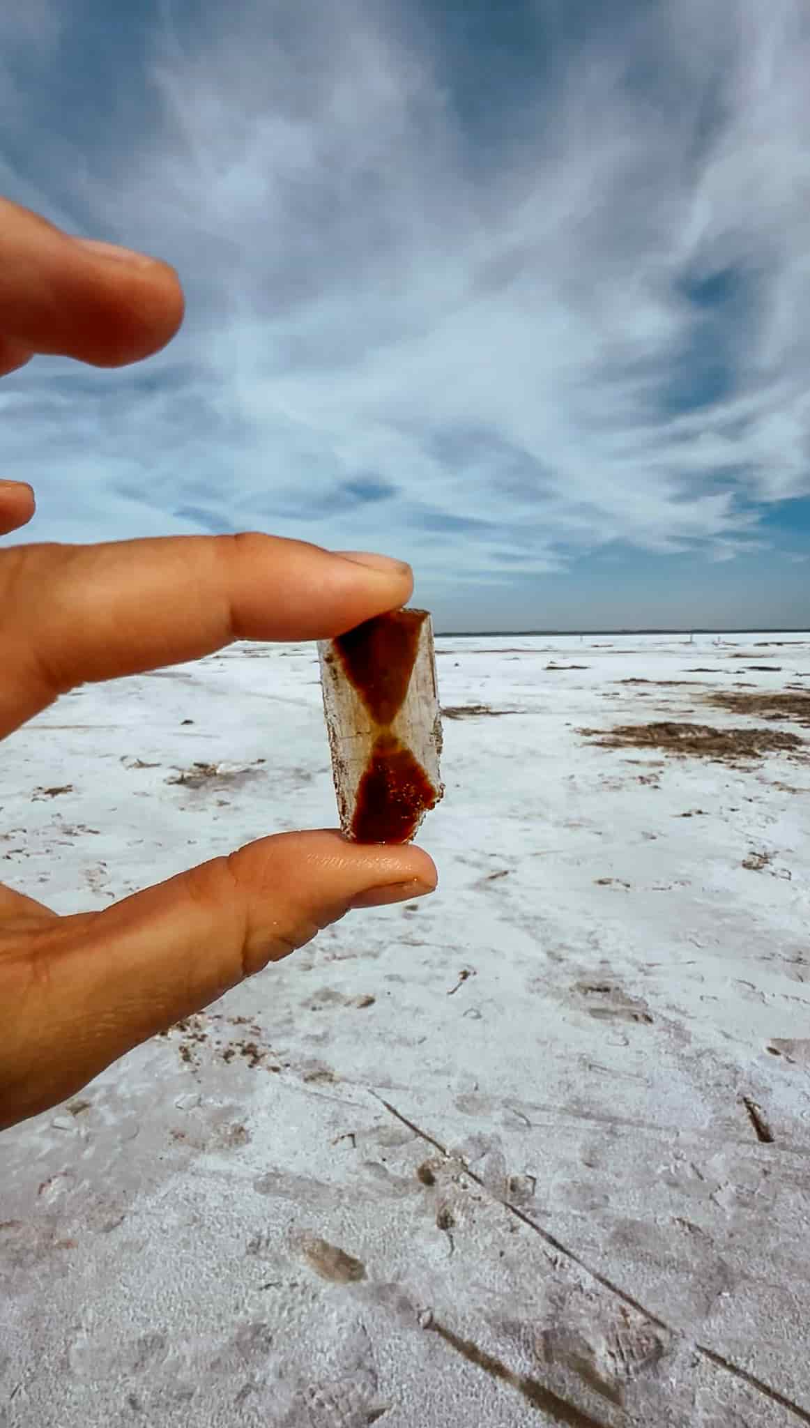 selenite crystal at great salt plains 